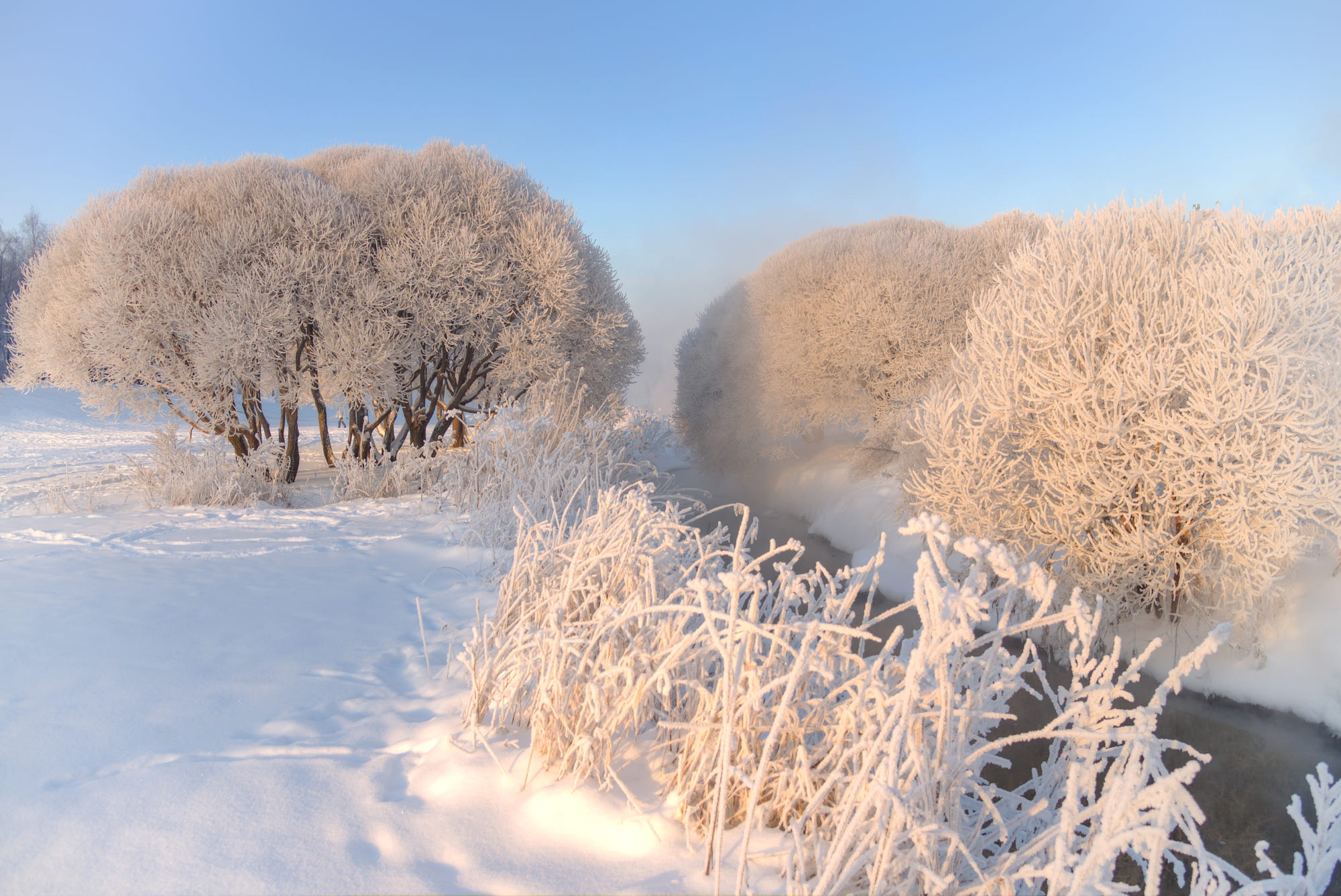 Winter scene with frosted trees and a steaming river HD Wallpaper