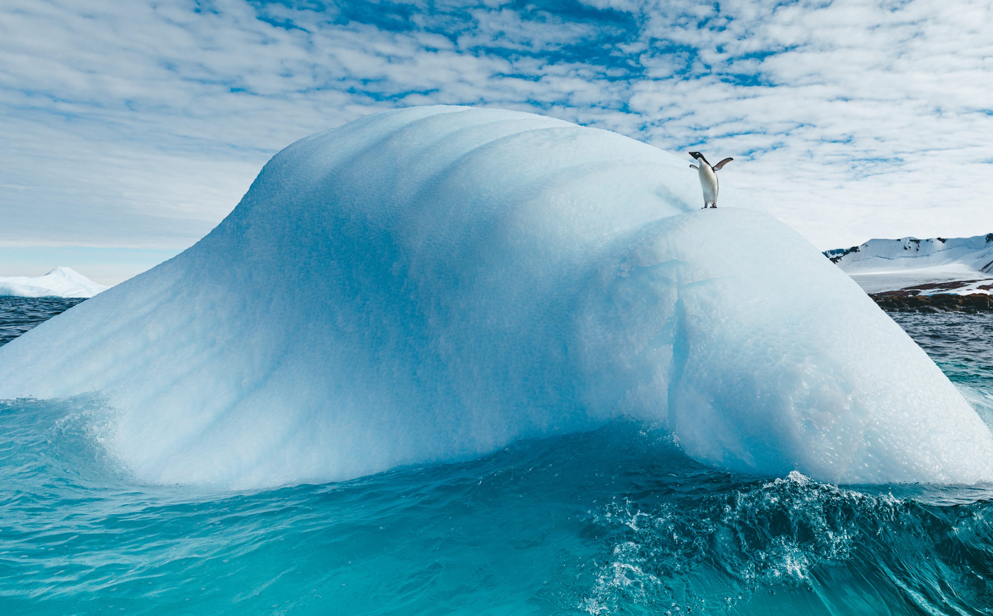 Penguin on an iceberg in the ocean HD Wallpaper