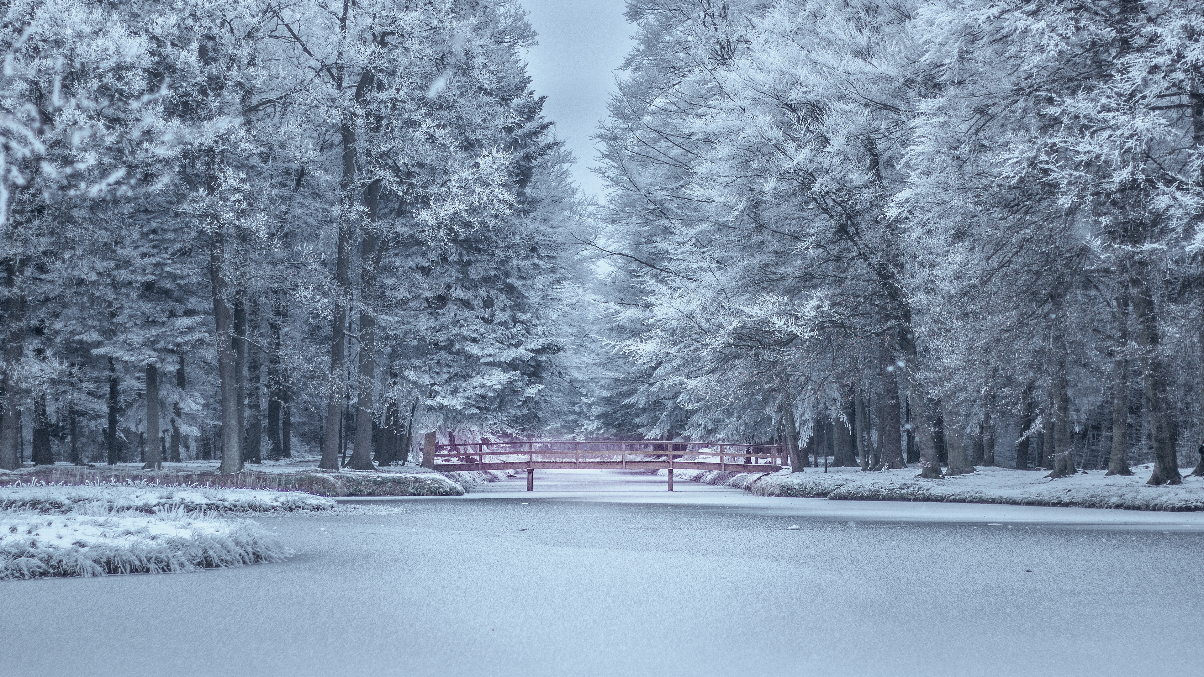 Winter park with a frozen pond and a red bridge HD Wallpaper