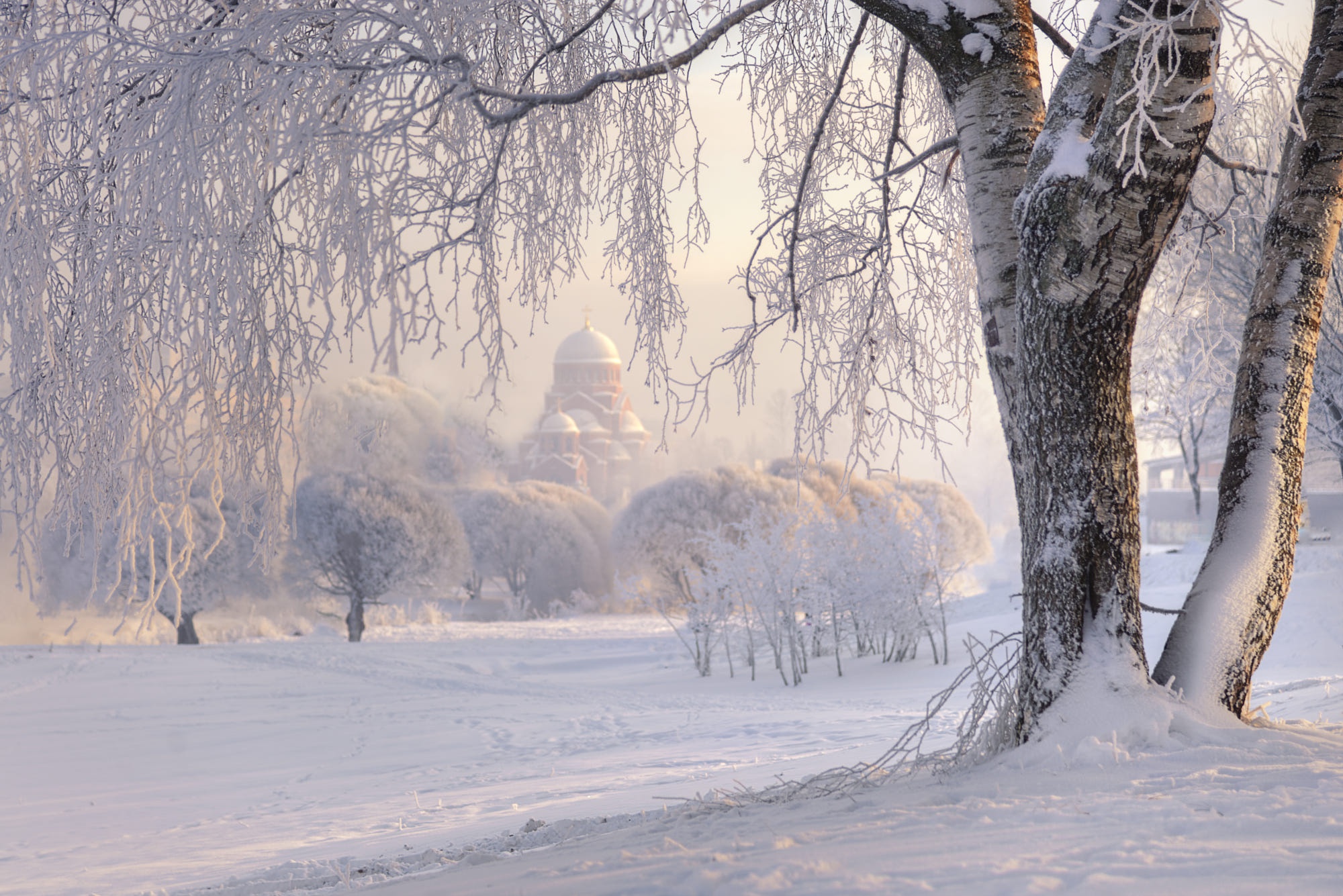 Winter scene with church and frosted trees HD Wallpaper