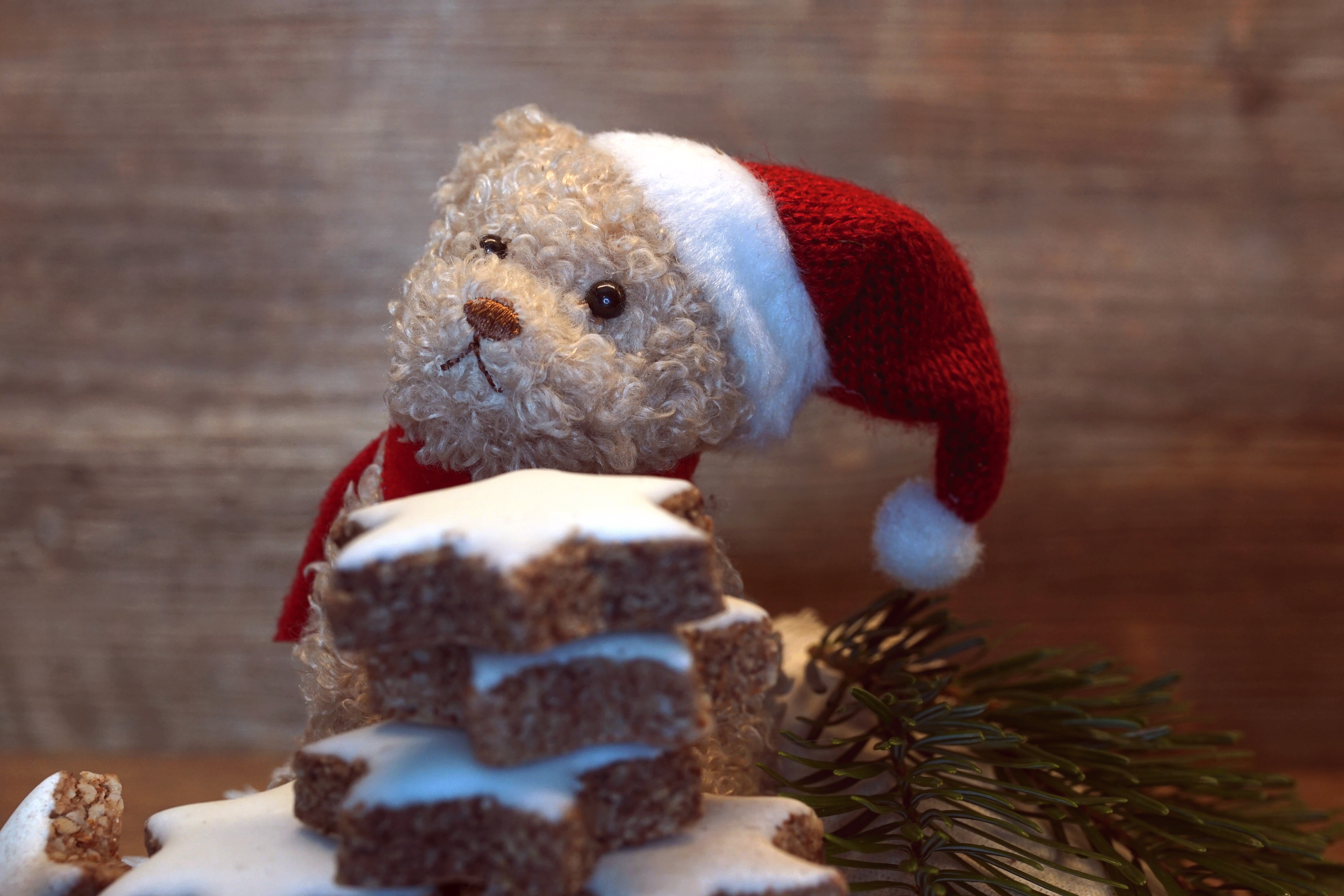 Teddy bear wearing Santa hat with Christmas cookies HD Wallpaper