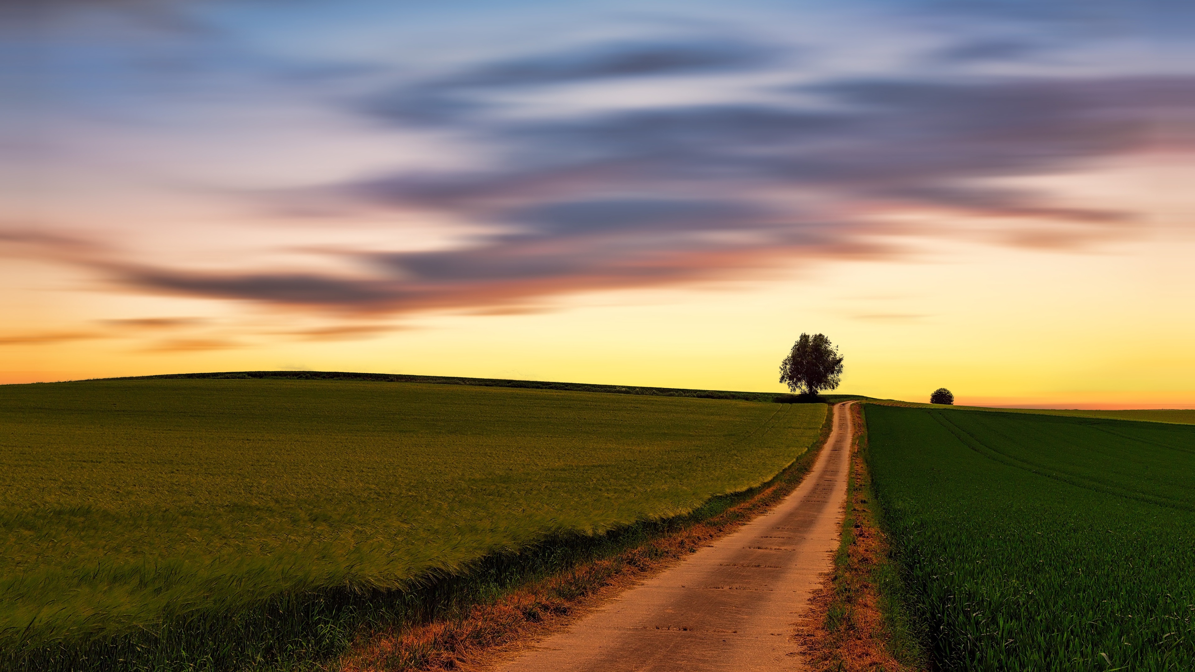Path through fields at sunset with clouds HD Wallpaper