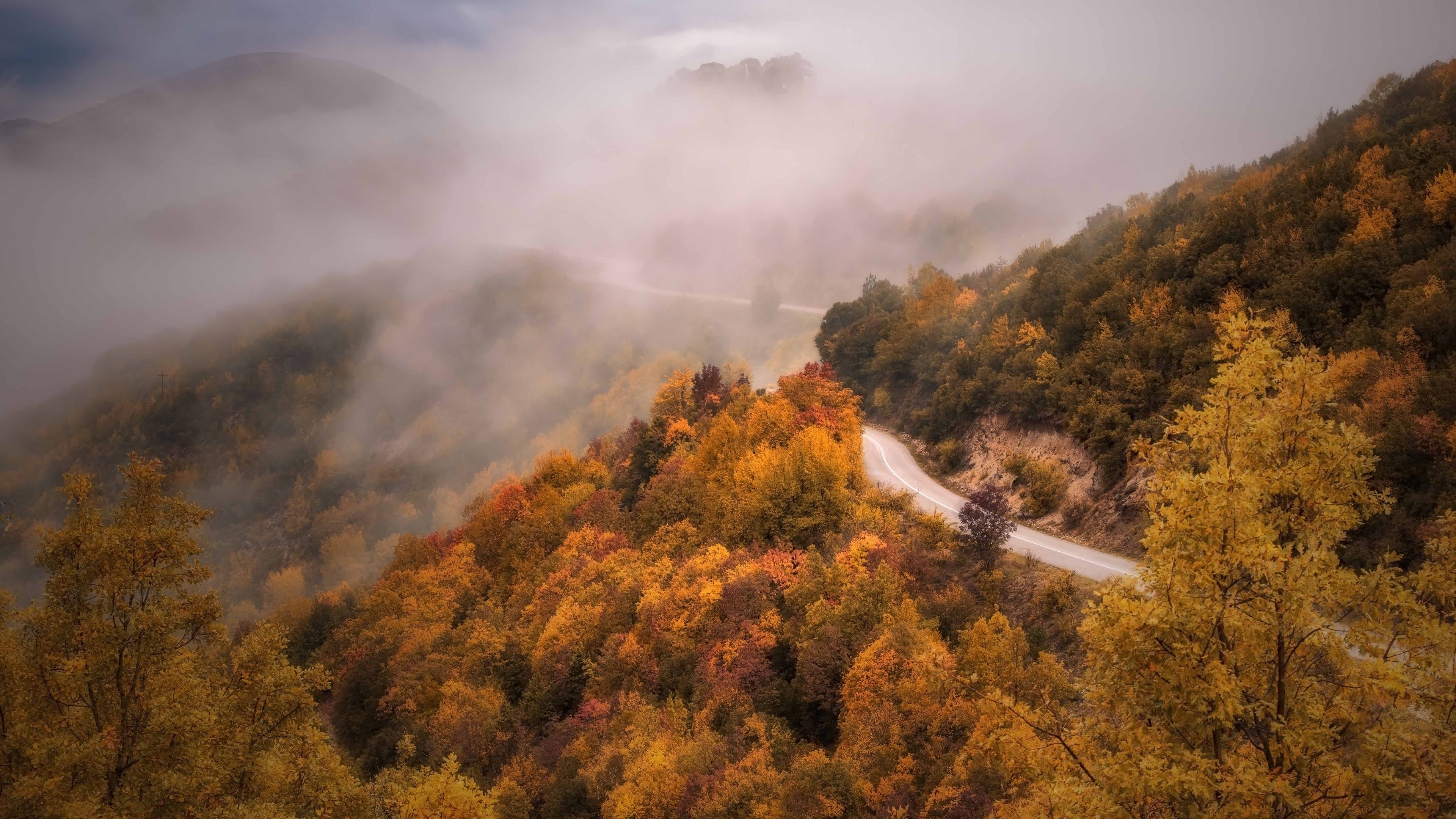 Mountain road through a foggy autumn forest HD Wallpaper