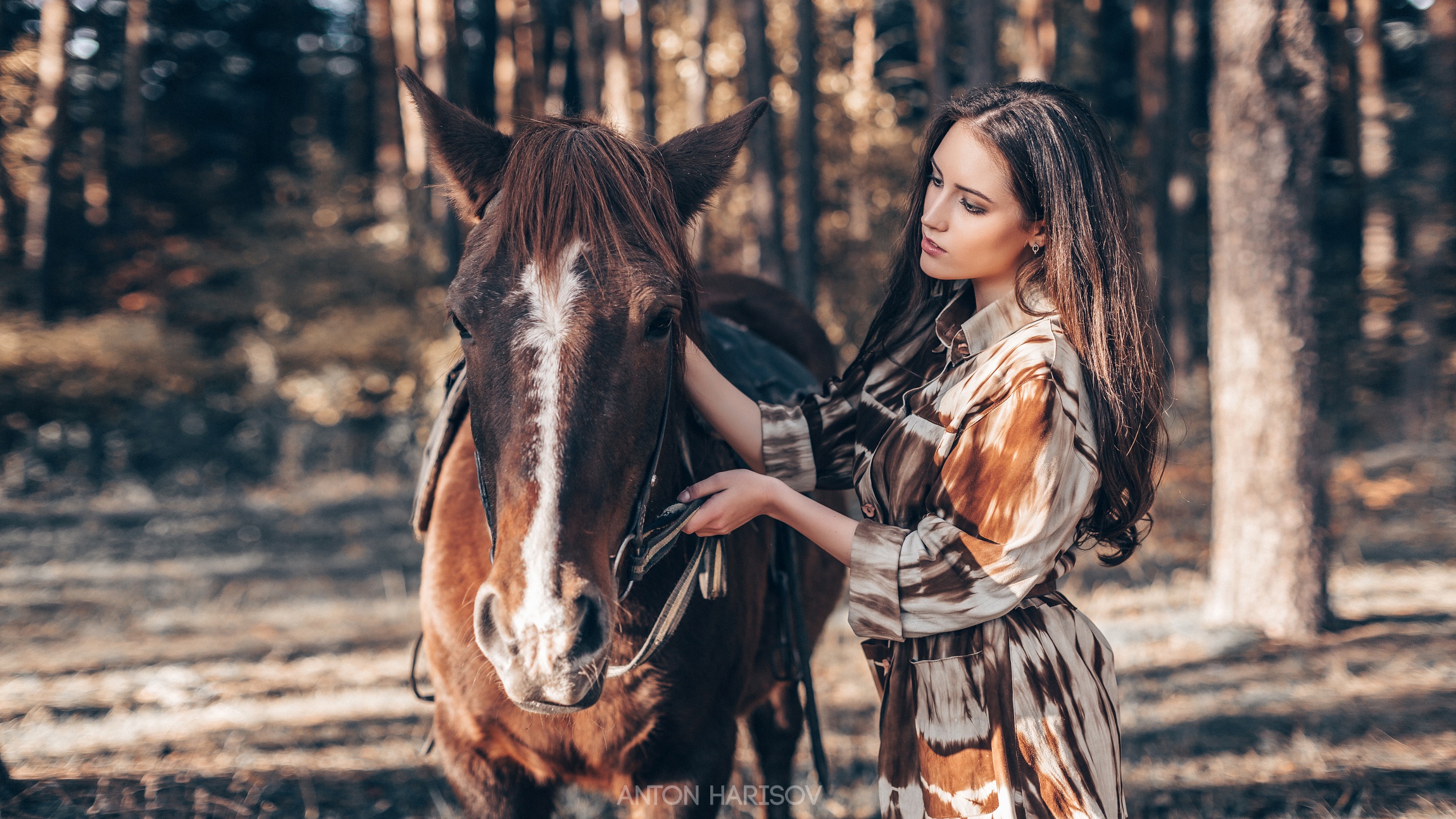 Woman with horse in forest HD Wallpaper
