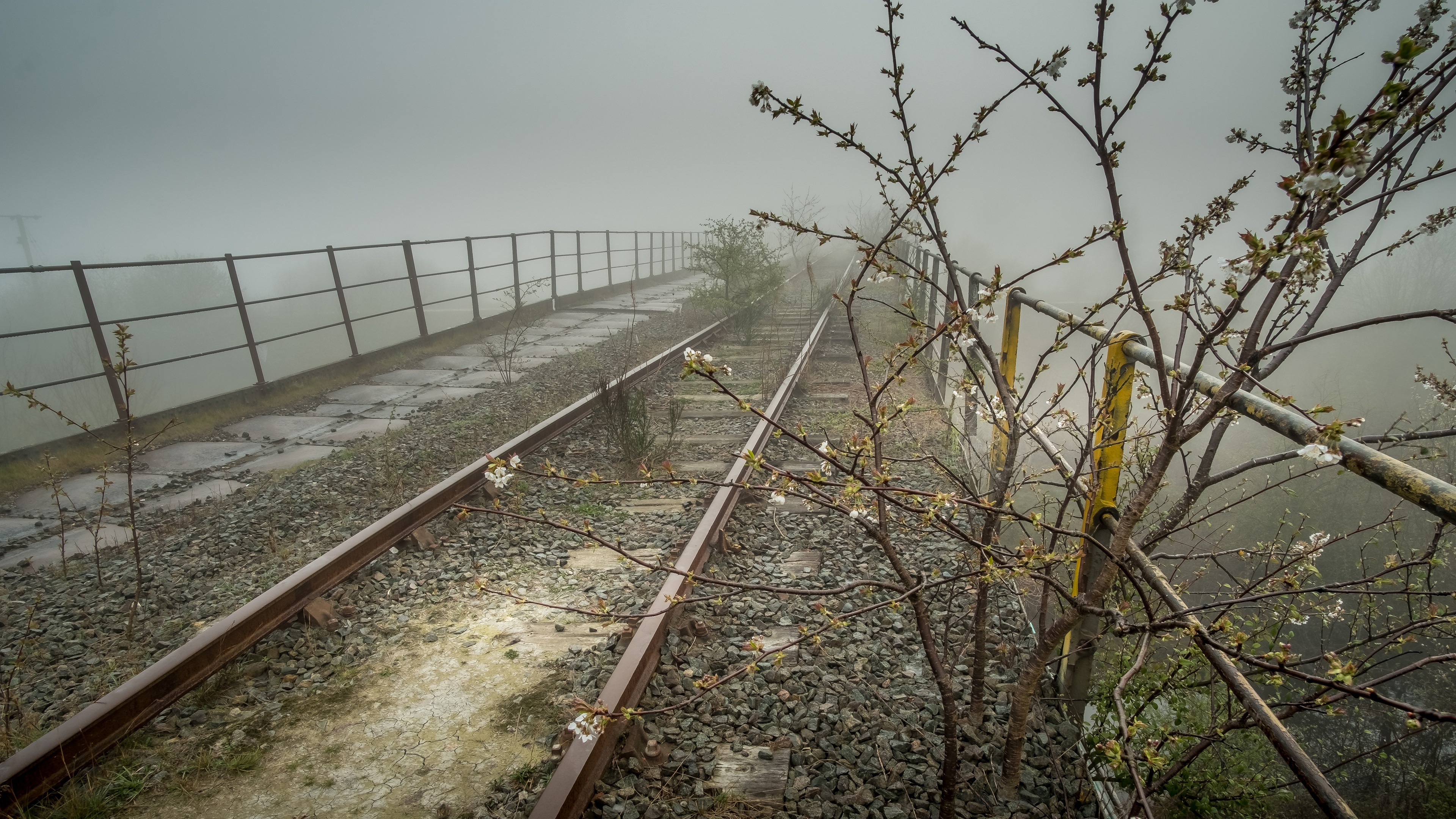 Abandoned Railroad Bridge in Fog HD Wallpaper