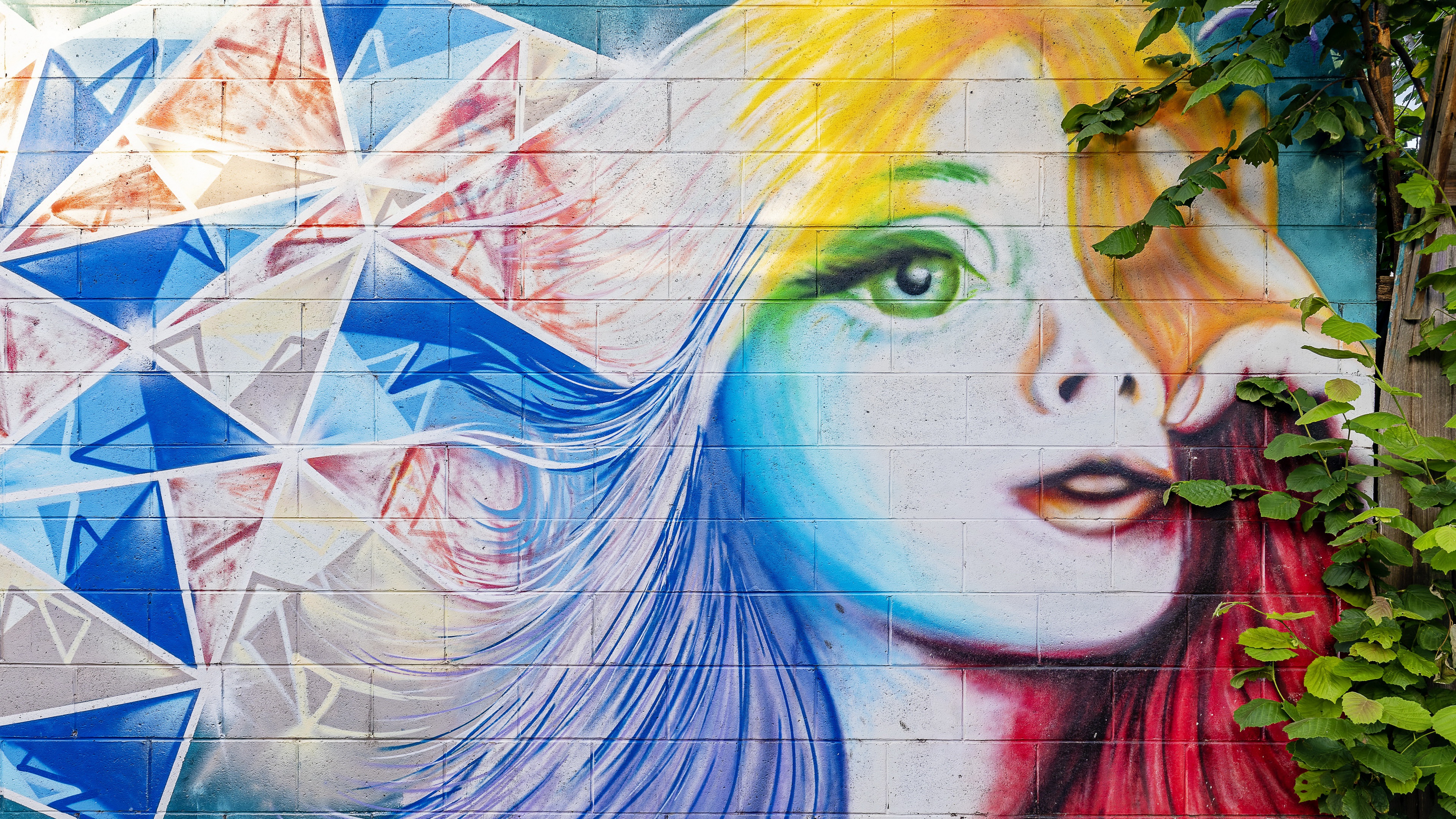 Artistic Graffiti of a Woman's Face HD Wallpaper