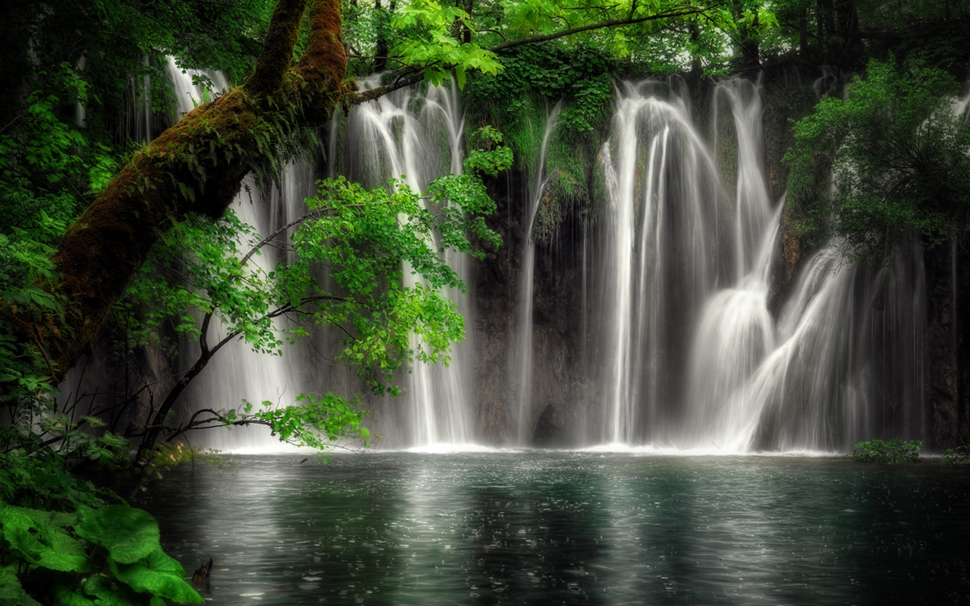 Waterfalls in a lush green forest HD Wallpaper