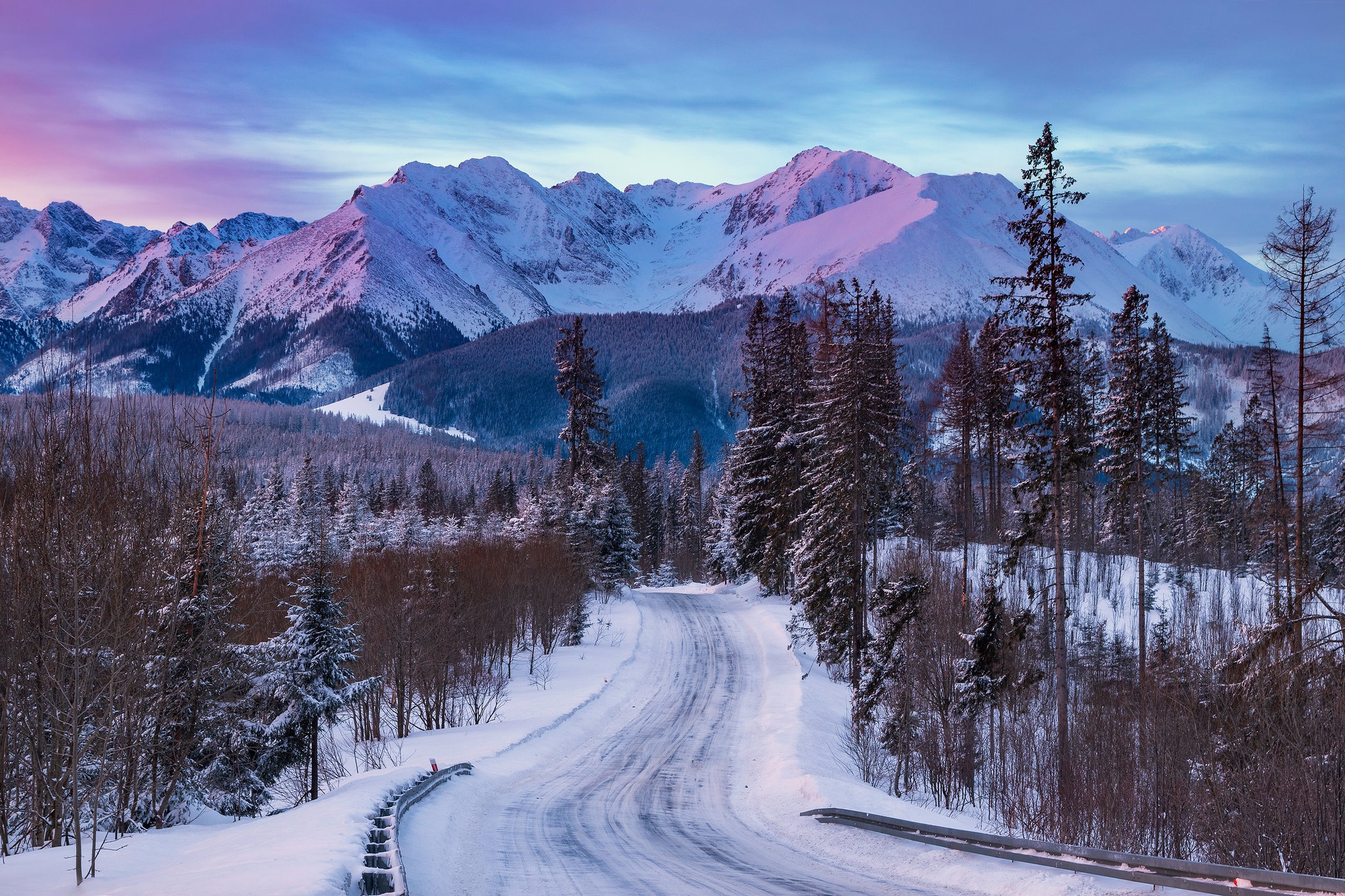 Snowy mountain road with pine forest and snow-capped peaks HD Wallpaper