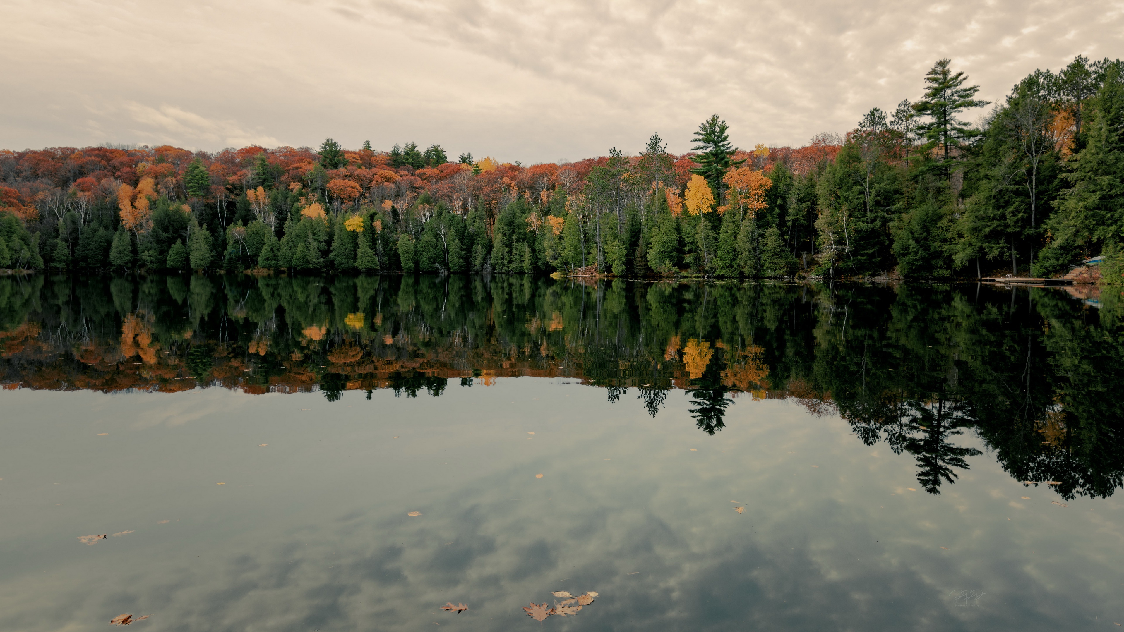 Lake Reflection of Autumn Forest HD Wallpaper