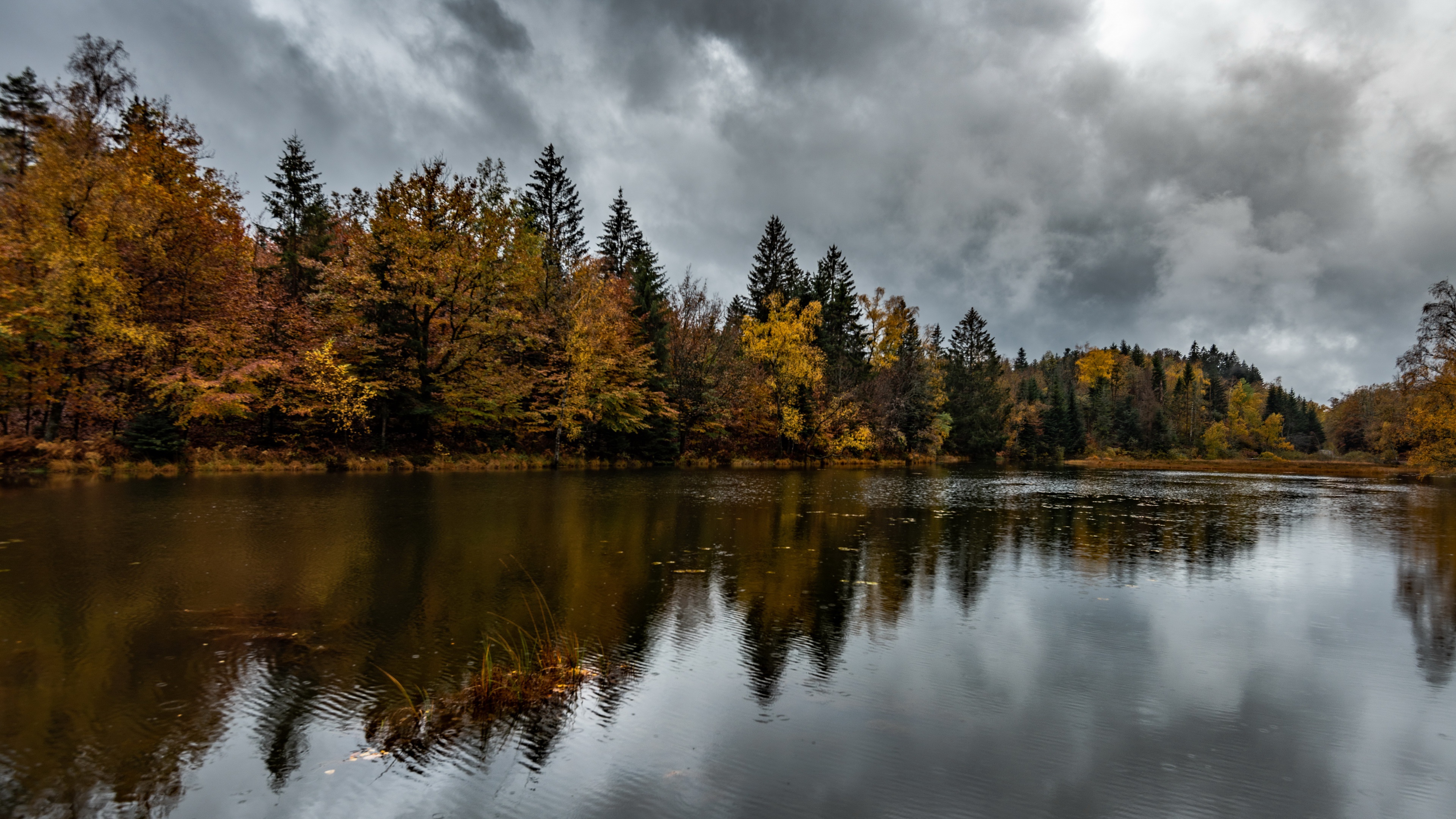 Autumn forest reflected in a lake under cloudy sky HD Wallpaper