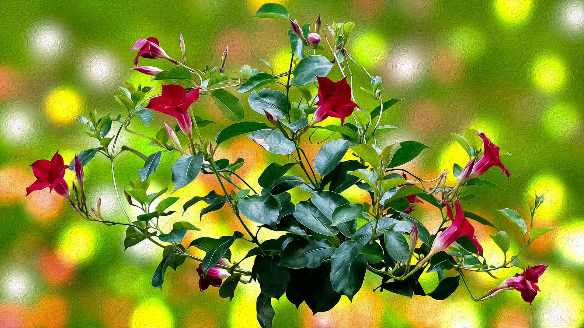 Artistic Oil Painting of Red Mandevilla Flowers HD Wallpaper