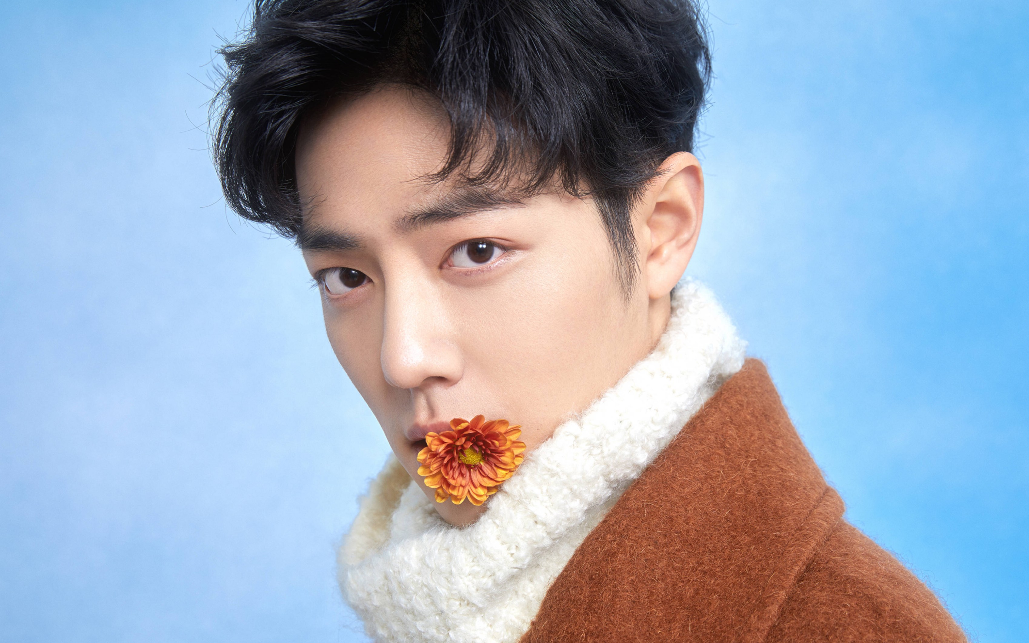 Xiao Zhan with flower HD Wallpaper