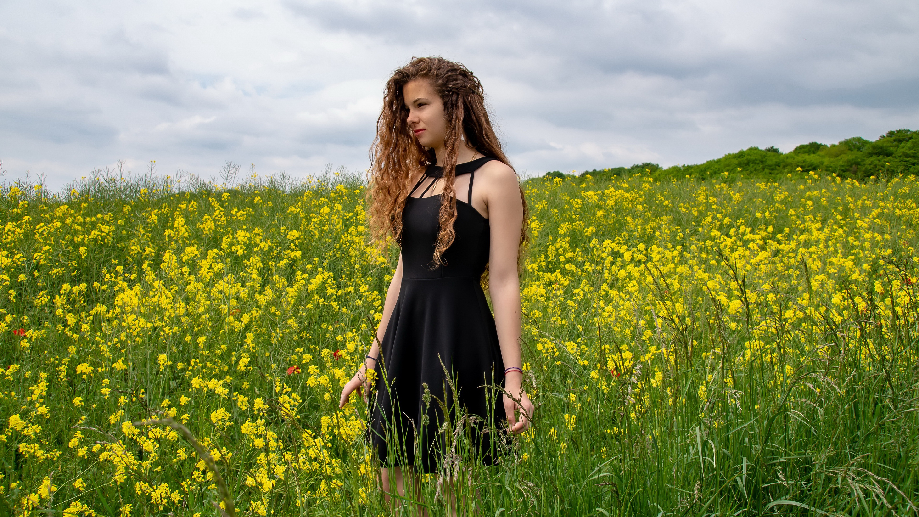 Woman with curly black hair in a black dress in a field of yellow flowers HD Wallpaper