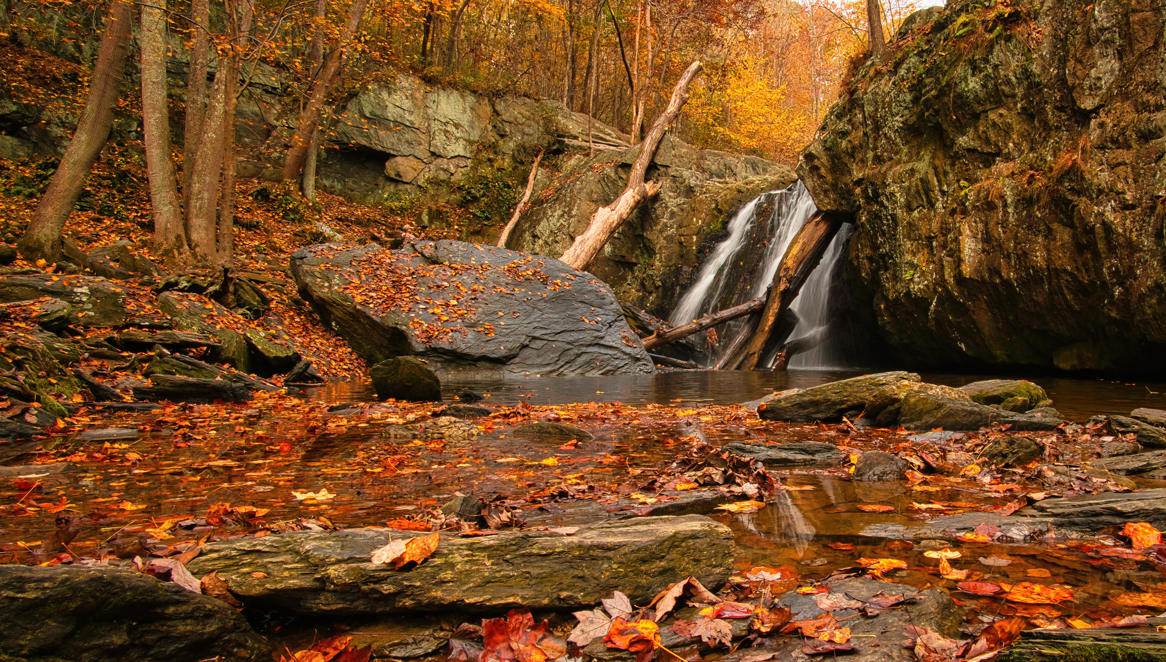 Waterfall in Autumn Forest with Rocks HD Wallpaper