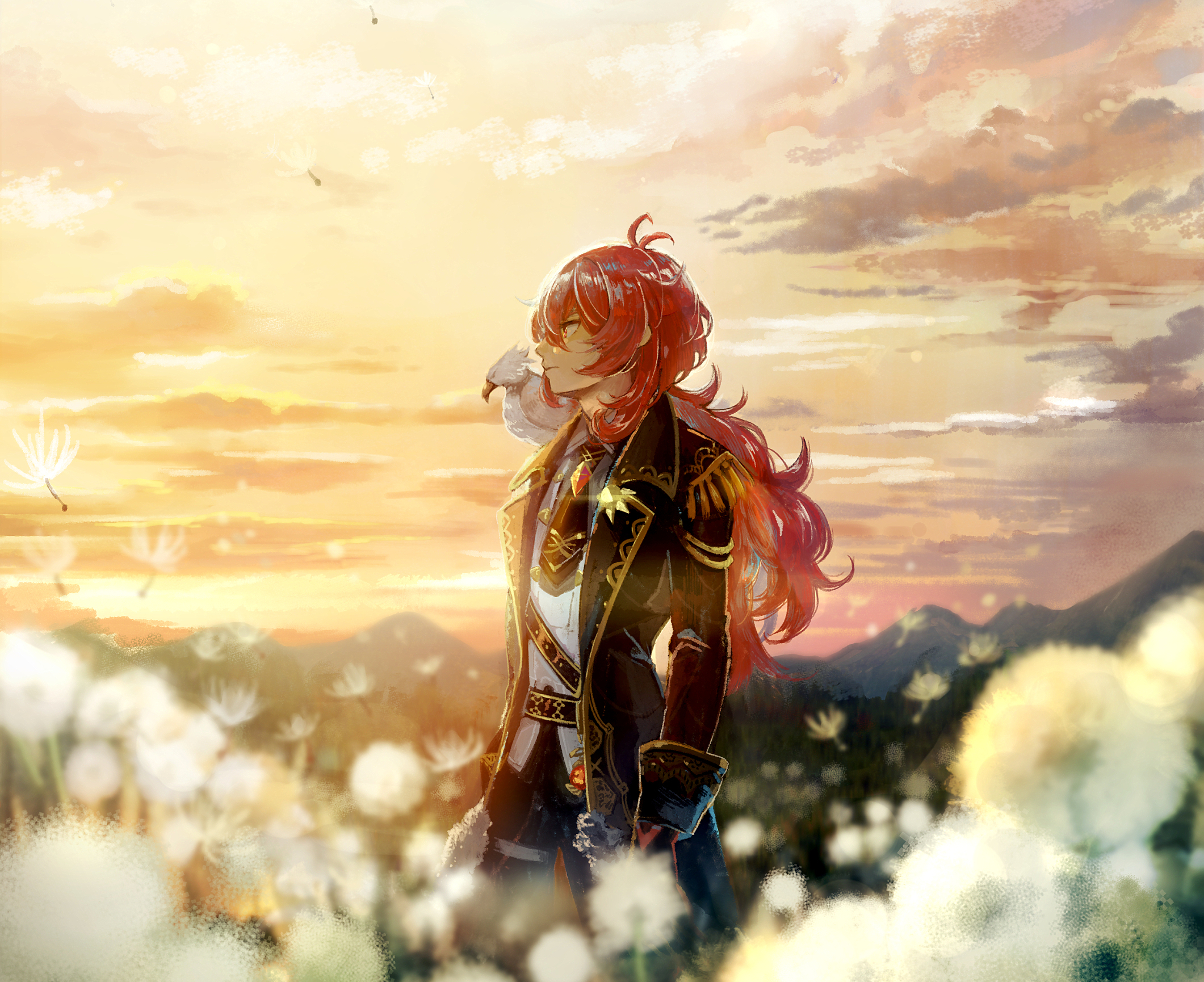 Diluc from Genshin Impact in a field of dandelions HD Wallpaper
