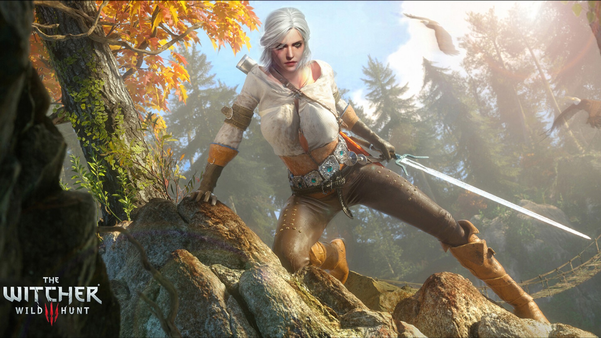 Ciri from The Witcher 3 Wild Hunt HD Wallpaper