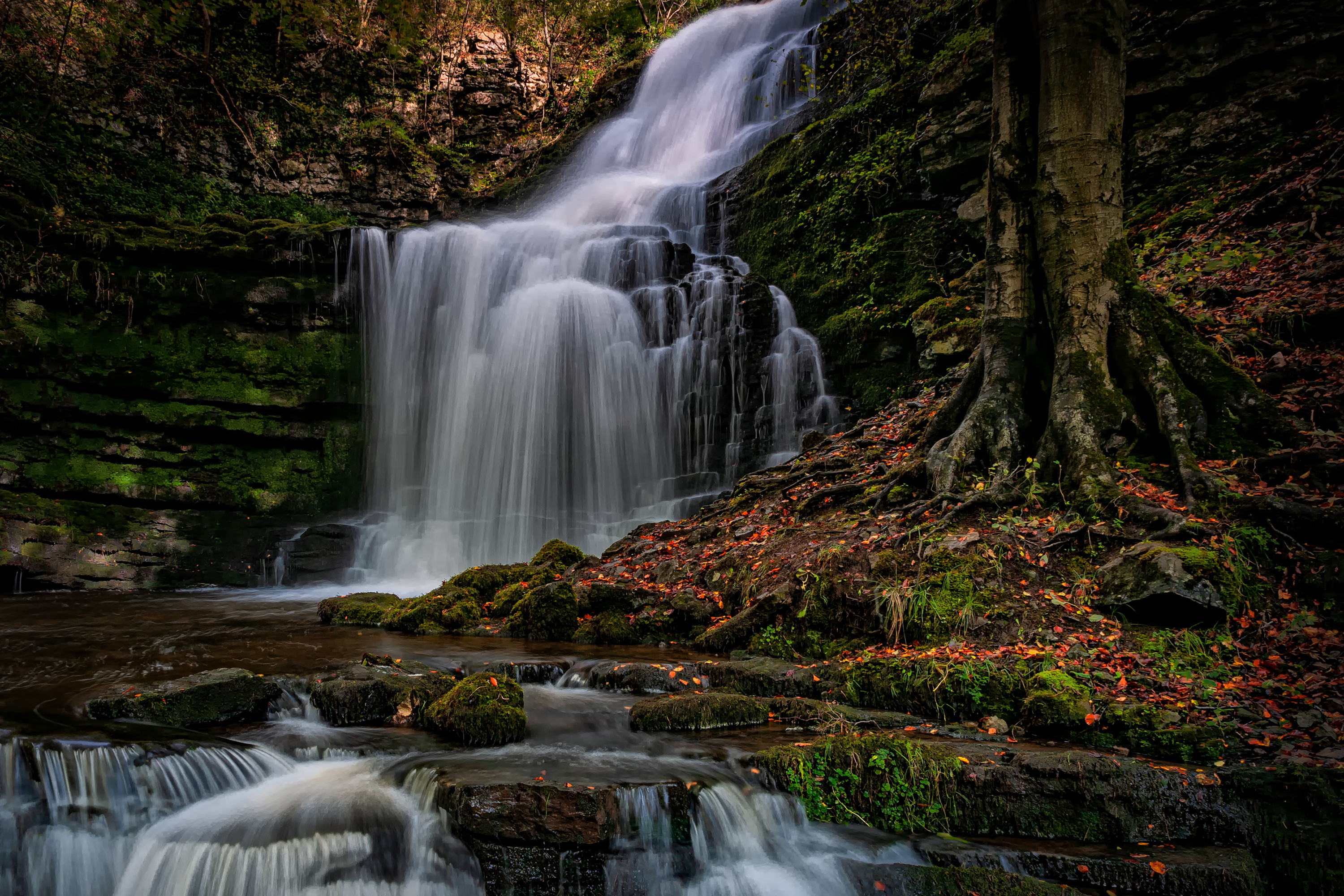 Waterfall in a forest during fall HD Wallpaper