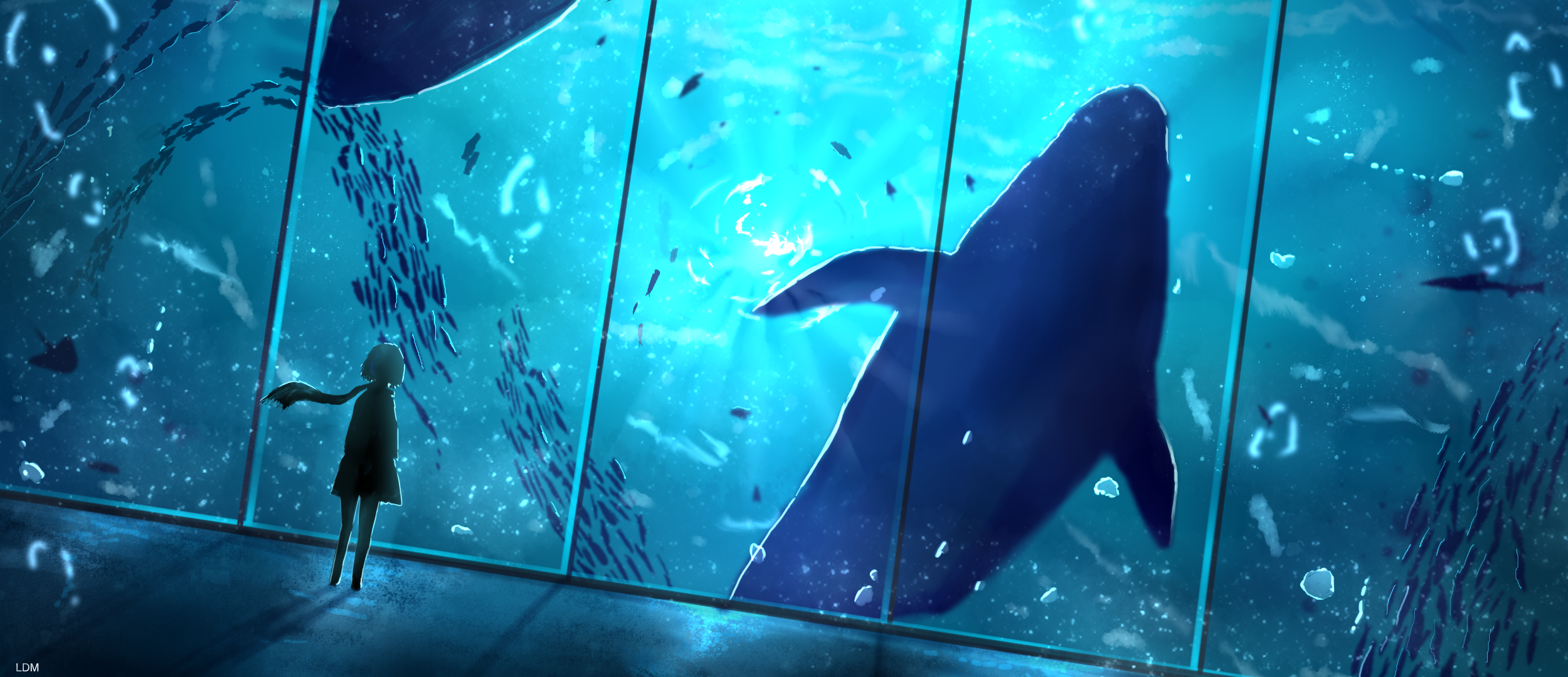 Girl watches whales and fish in aquarium HD Wallpaper