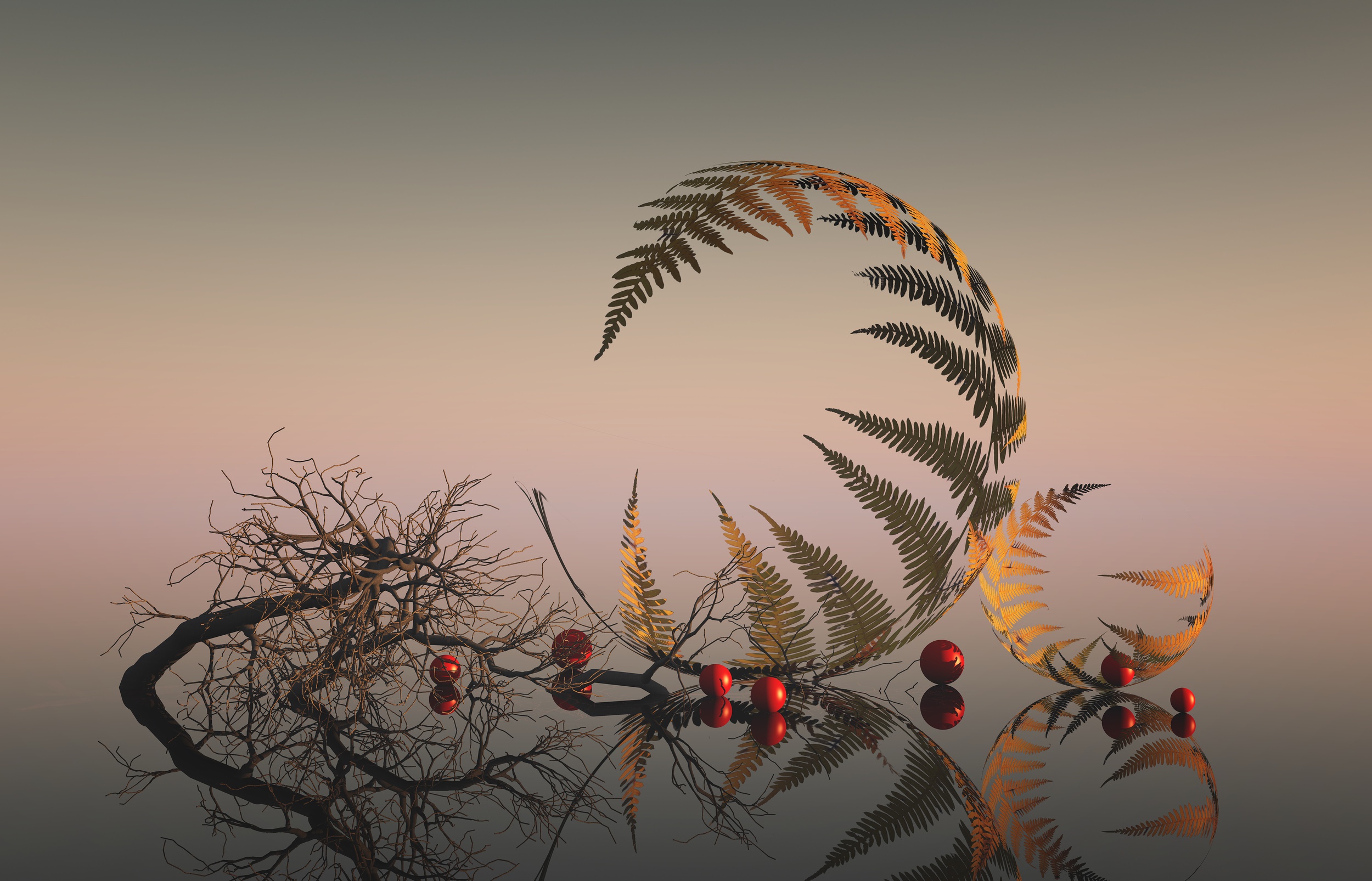 Still life with fern, branches, and red berries HD Wallpaper