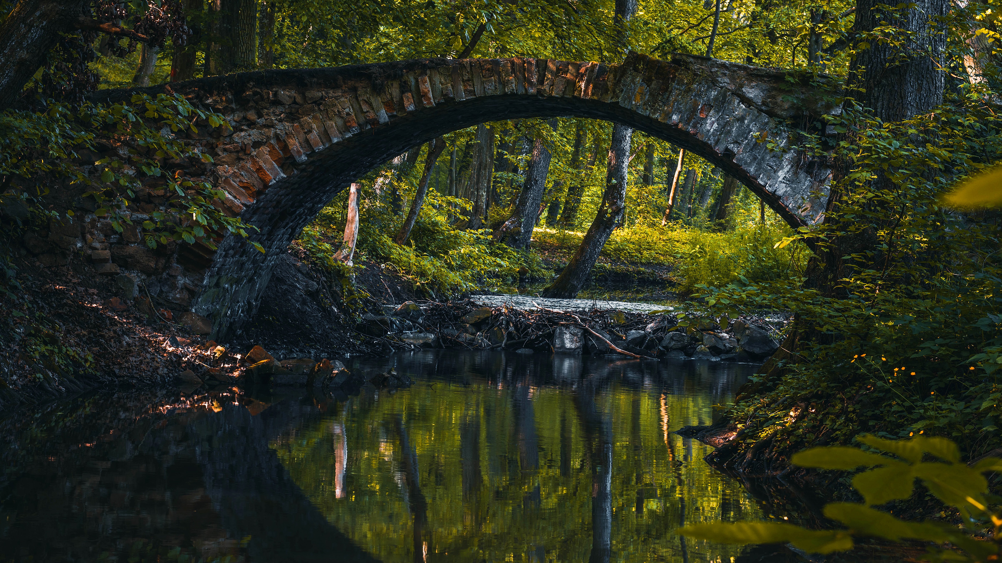 Stone bridge over a forest pond with reflections HD Wallpaper