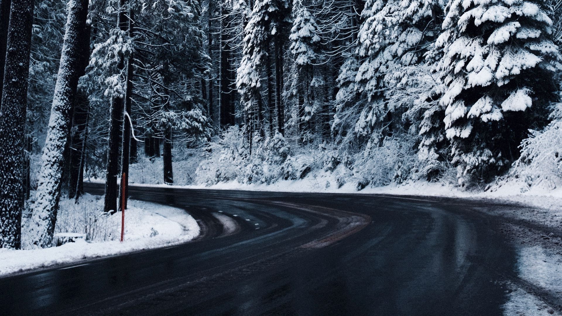 Winding Road Through Snowy Forest HD Wallpaper