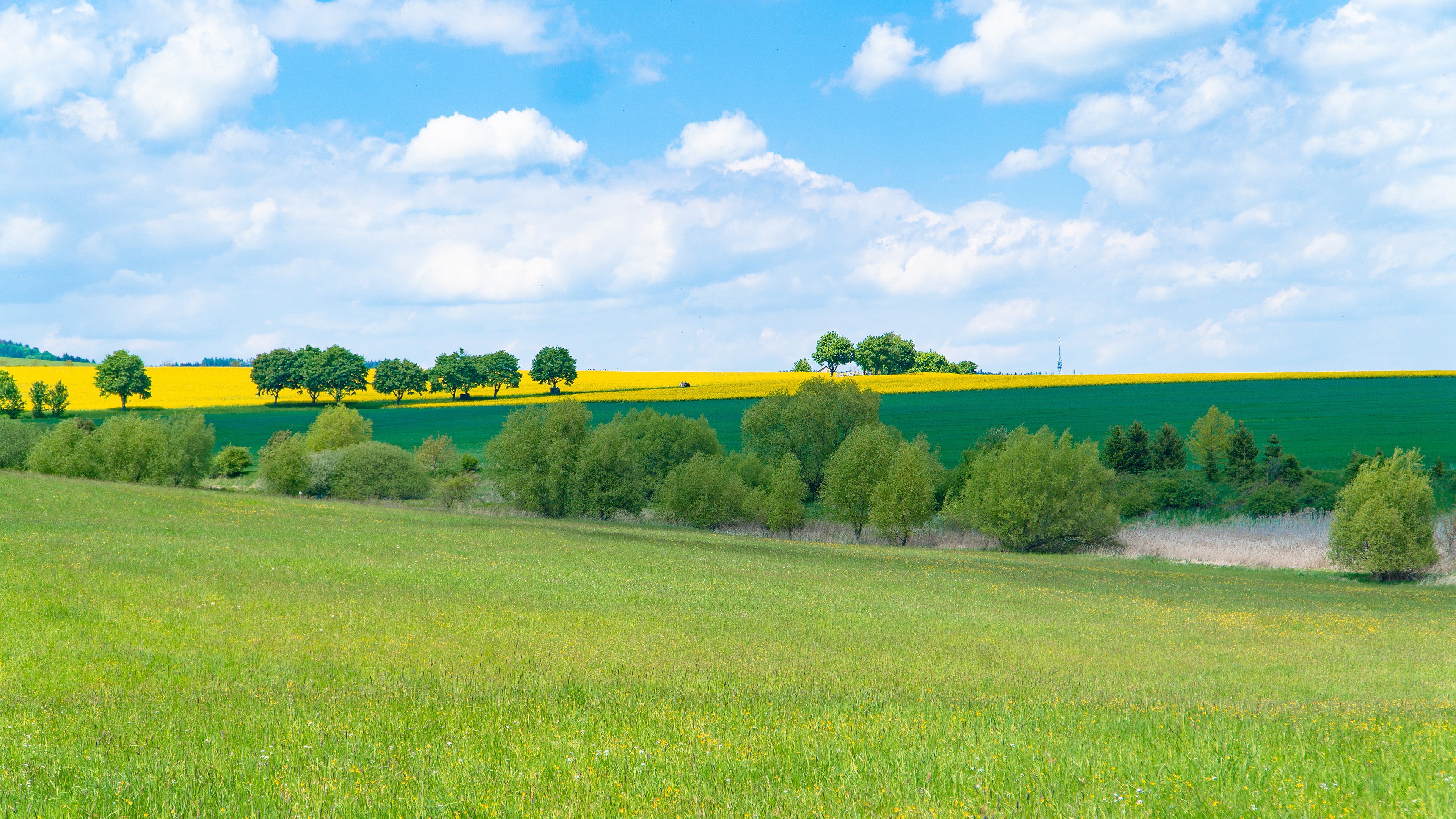 Landscape with Rapeseed Field and Clouds 4K HD Wallpaper