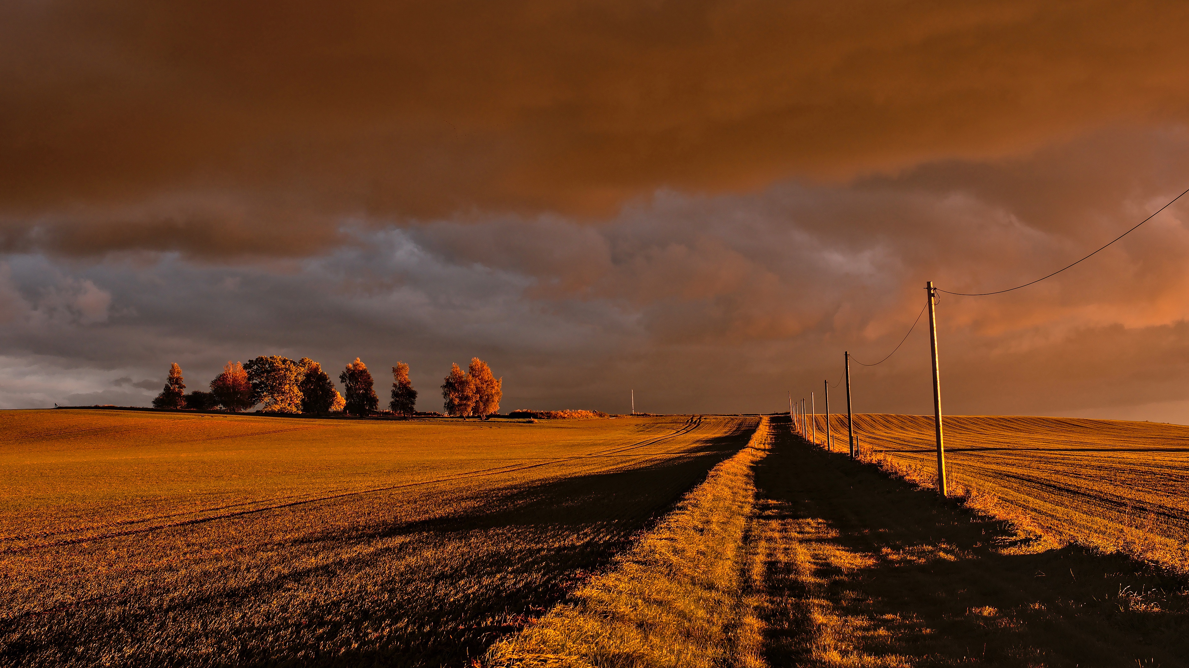 Path through a field at sunset with storm clouds HD Wallpaper