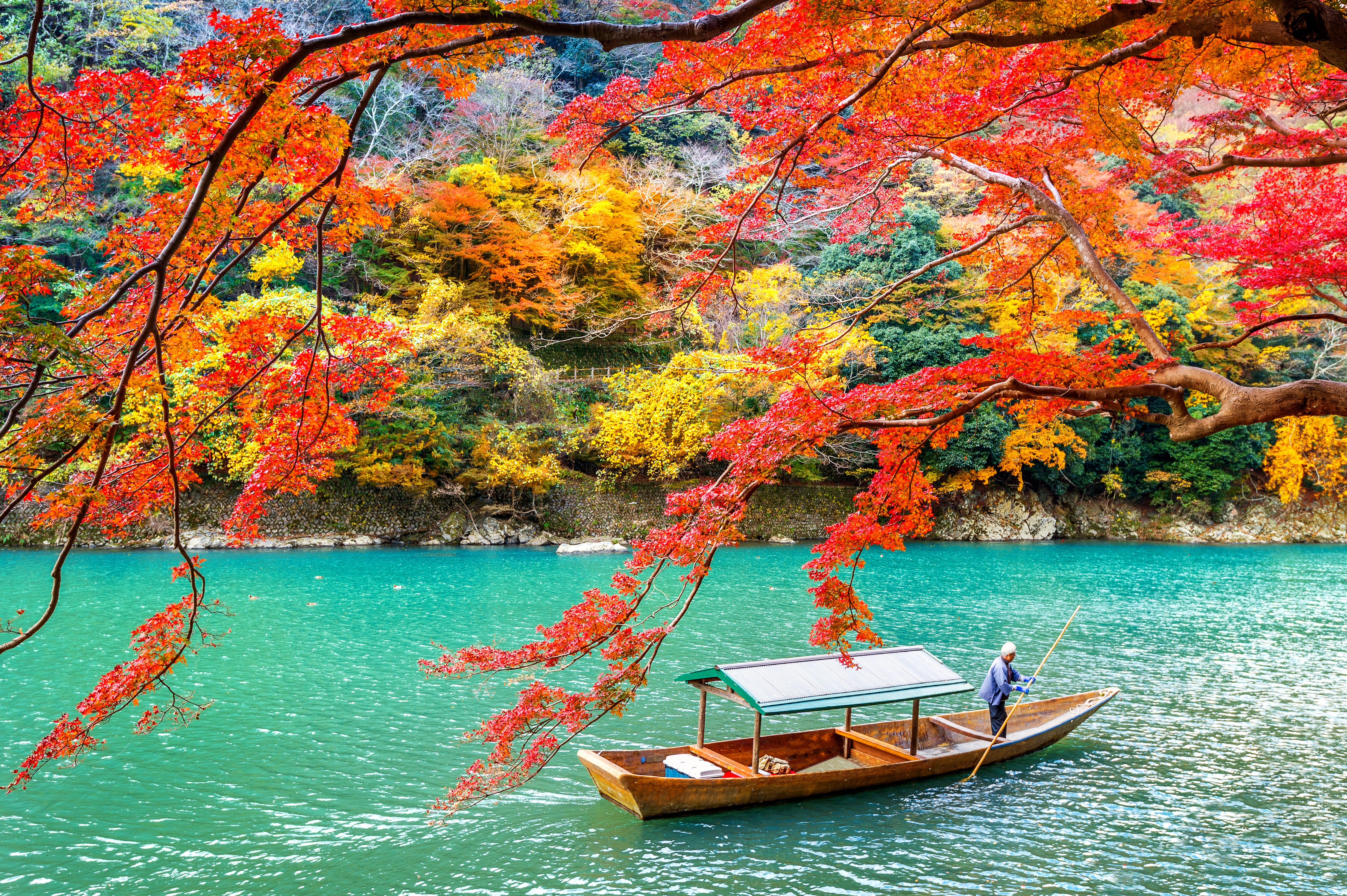 Arashiyama Park in Kyoto with Autumn Foliage HD Wallpaper