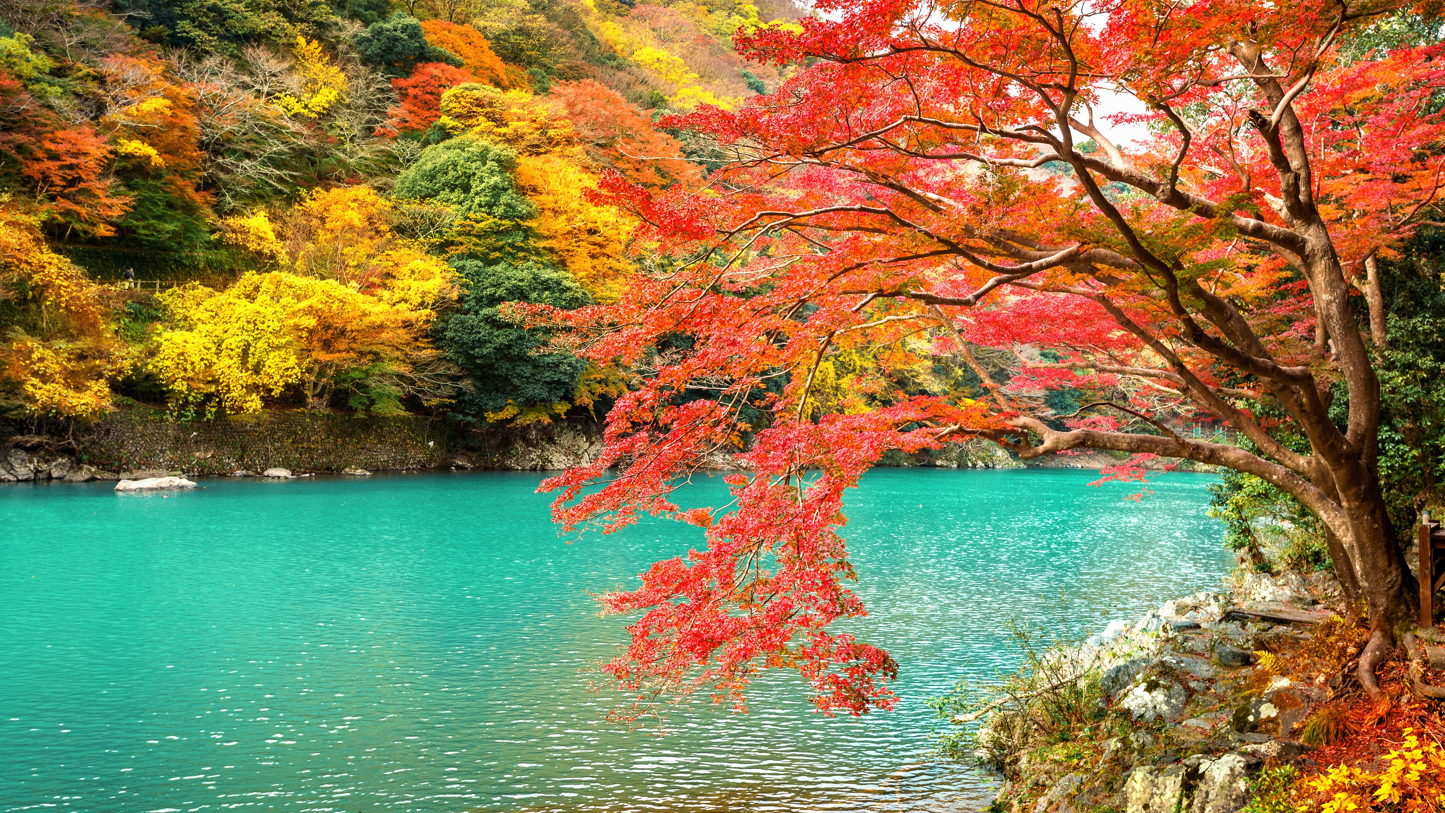 Arashiyama Park Kyoto Japan 4K HD Wallpaper