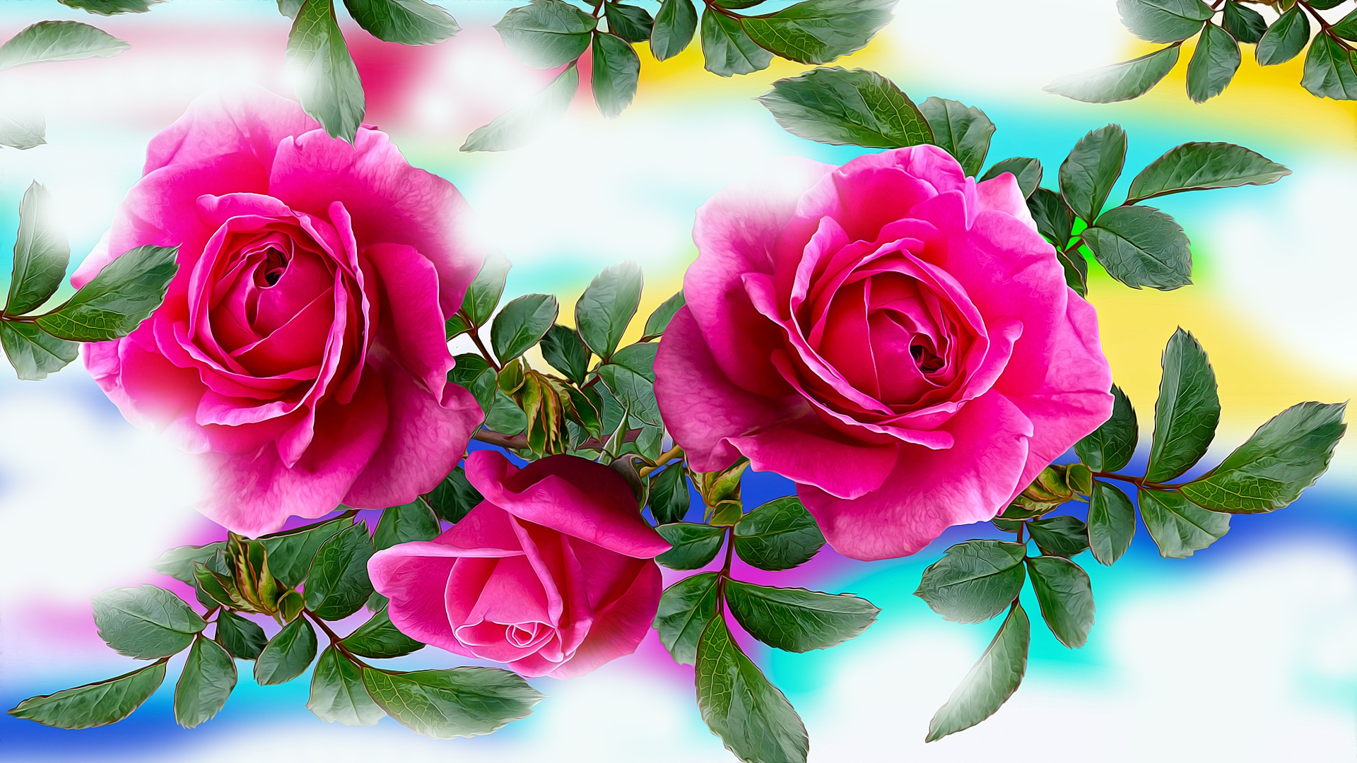 Pink Roses with Green Leaves HD Wallpaper