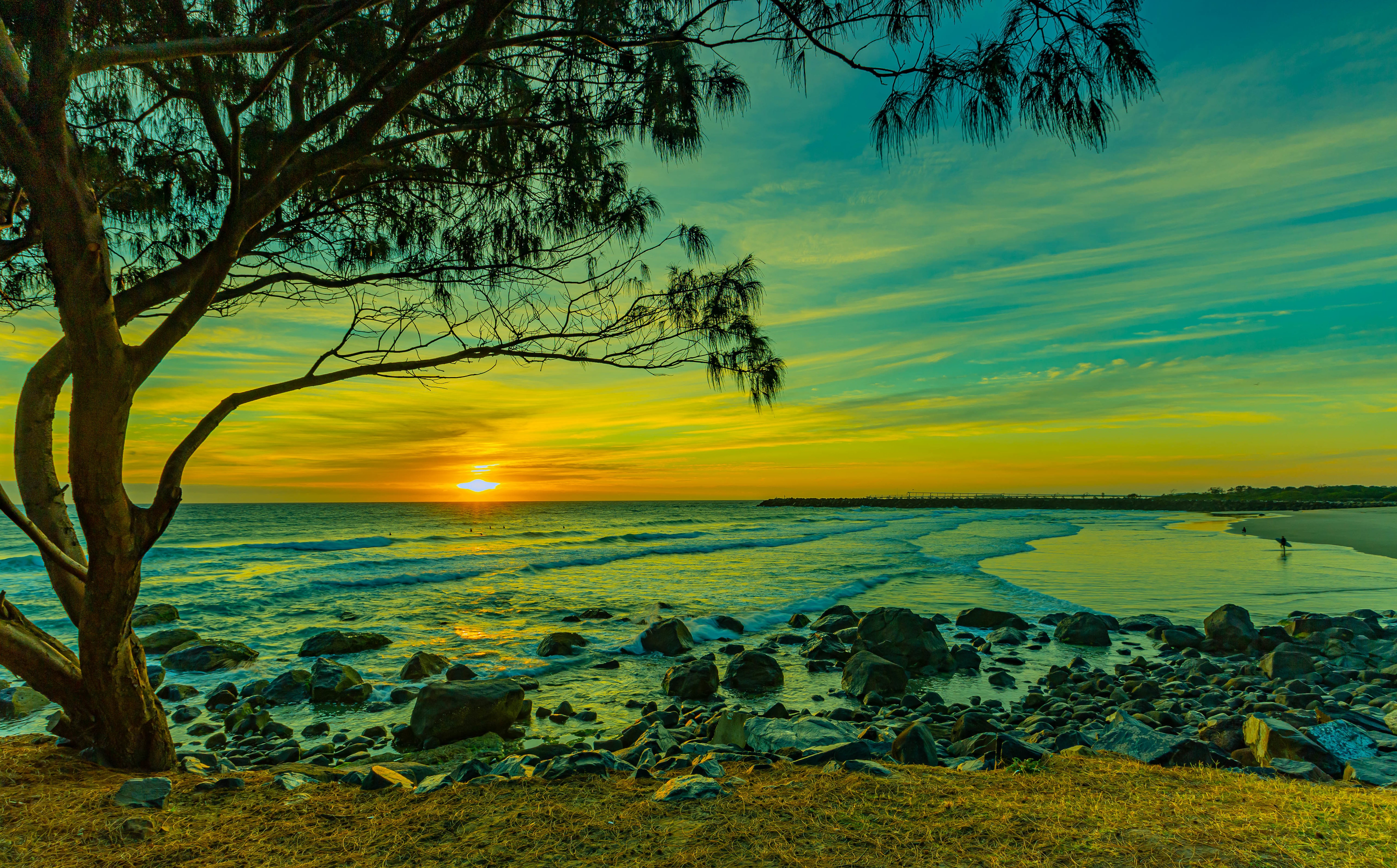 Sunset over the ocean with a tree and rocks HD Wallpaper