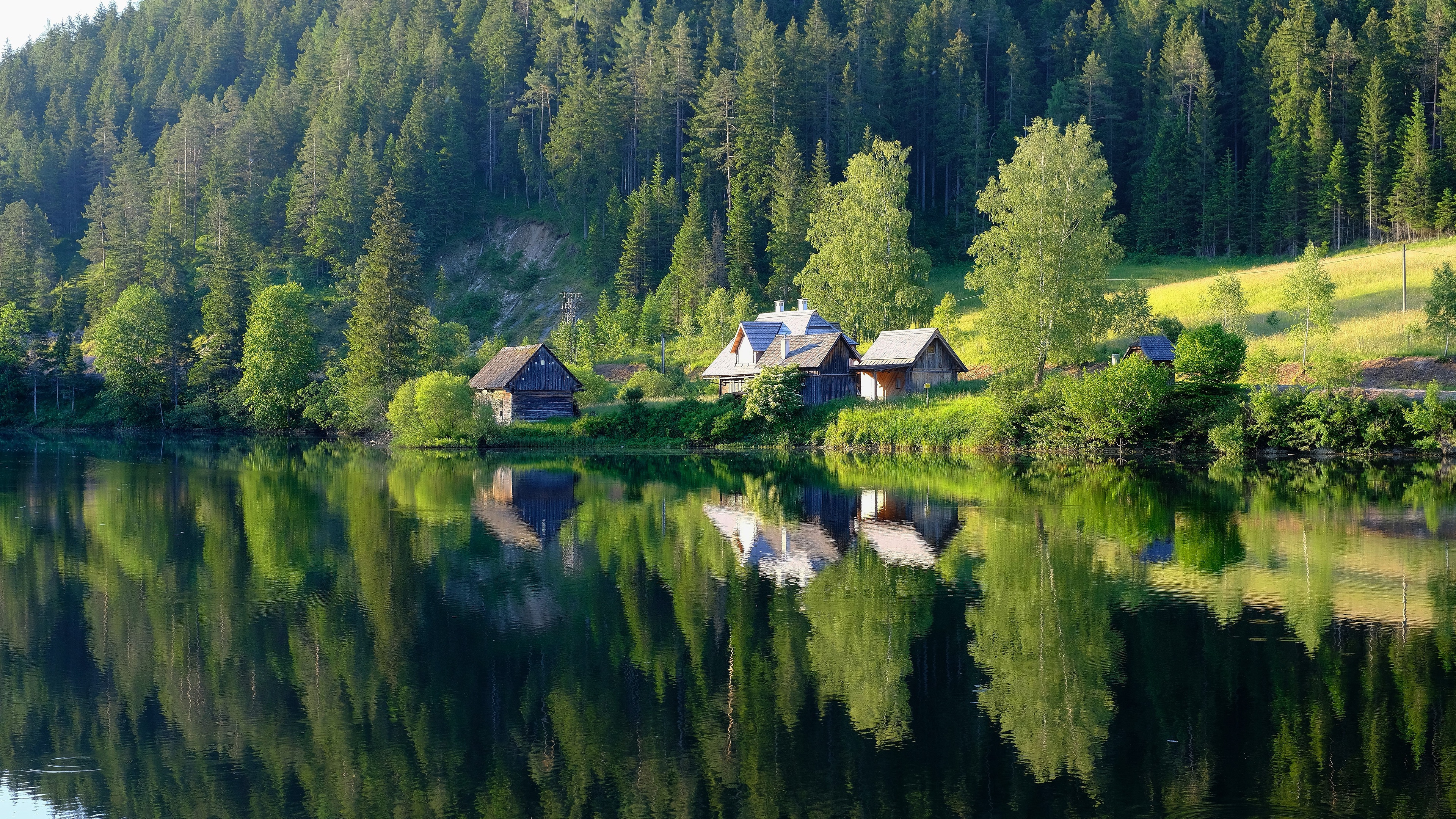 Houses reflected in a lake with a forest background HD Wallpaper