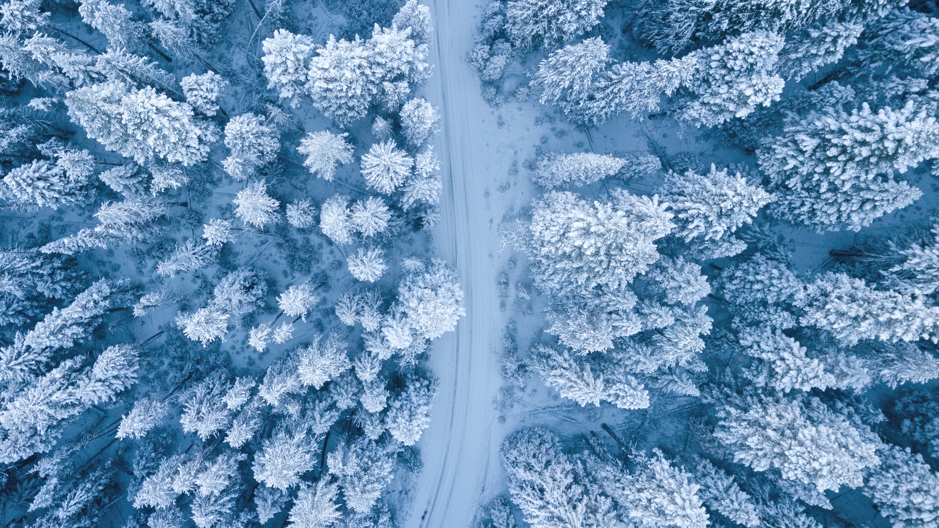 Aerial view of a snow-covered forest with a road HD Wallpaper