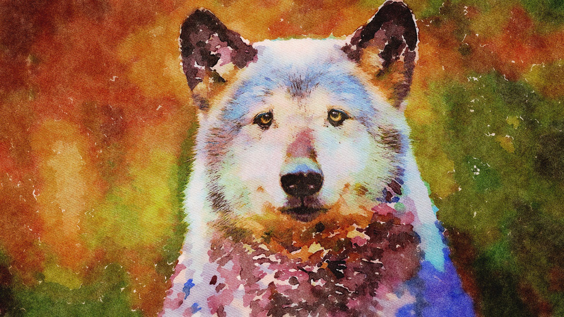 Artistic watercolor painting of a wolf HD Wallpaper