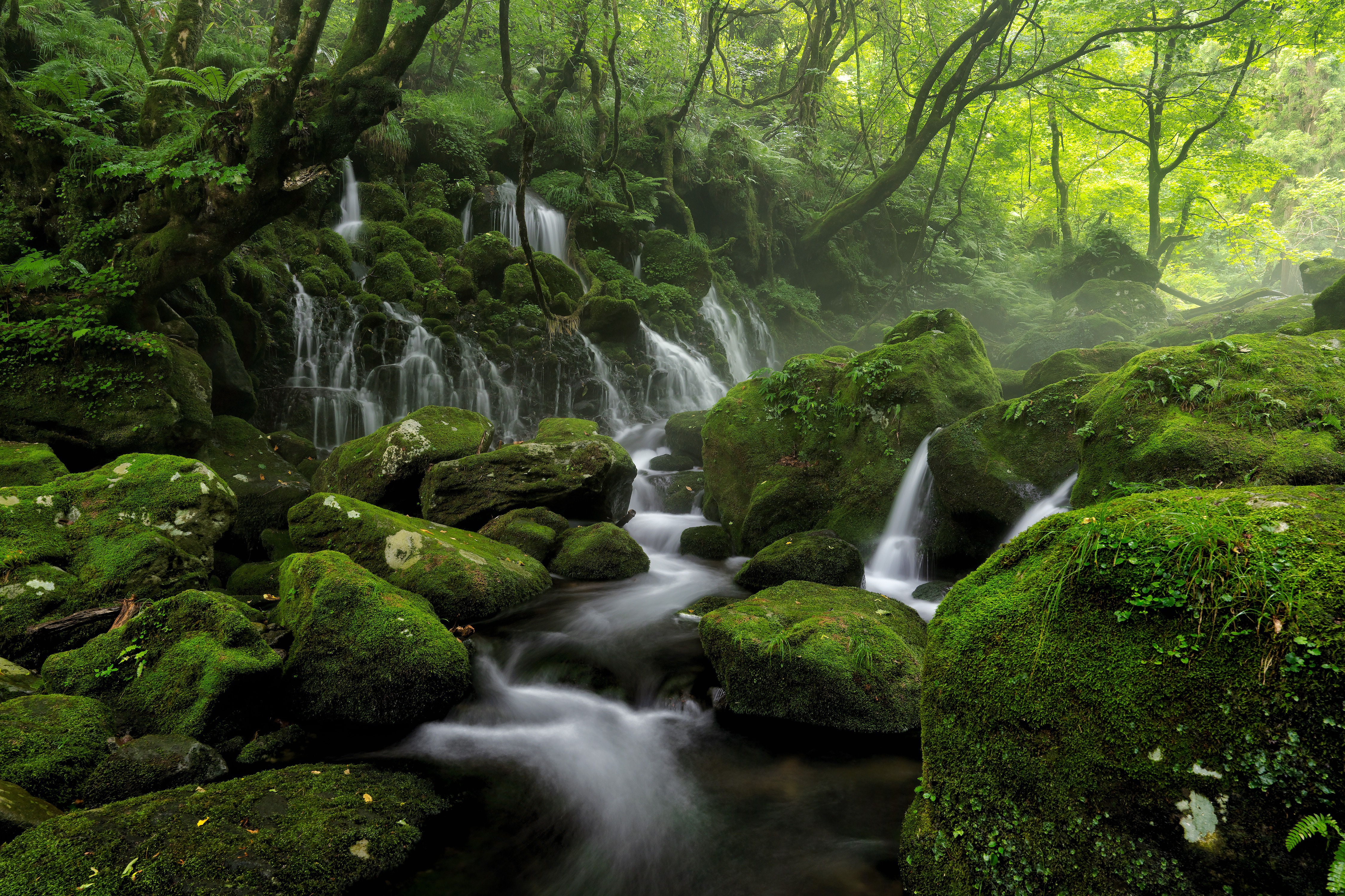 Mossy rocks and waterfall in a green forest HD Wallpaper