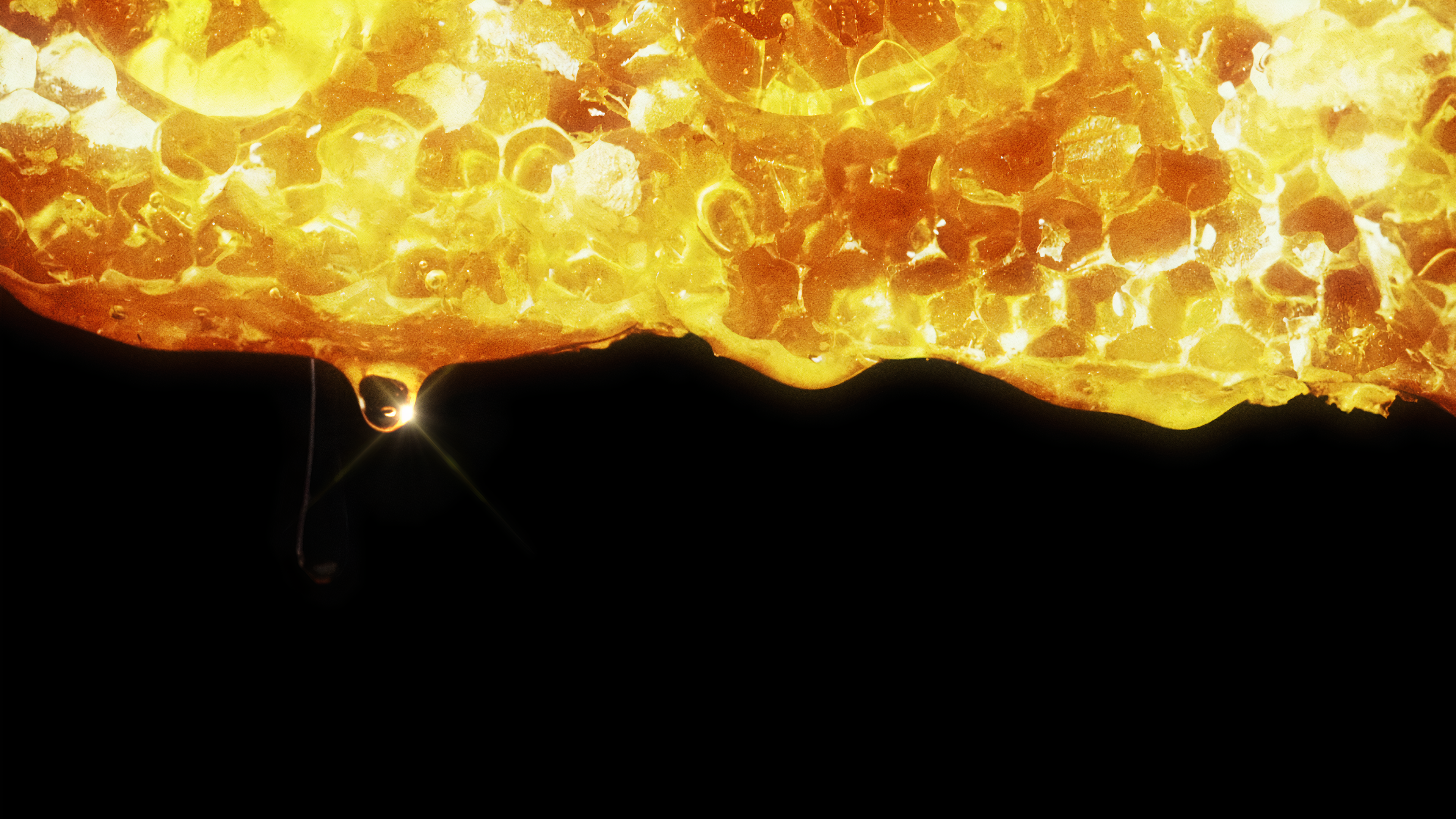 Golden Honeycomb with Dripping Honey HD Wallpaper
