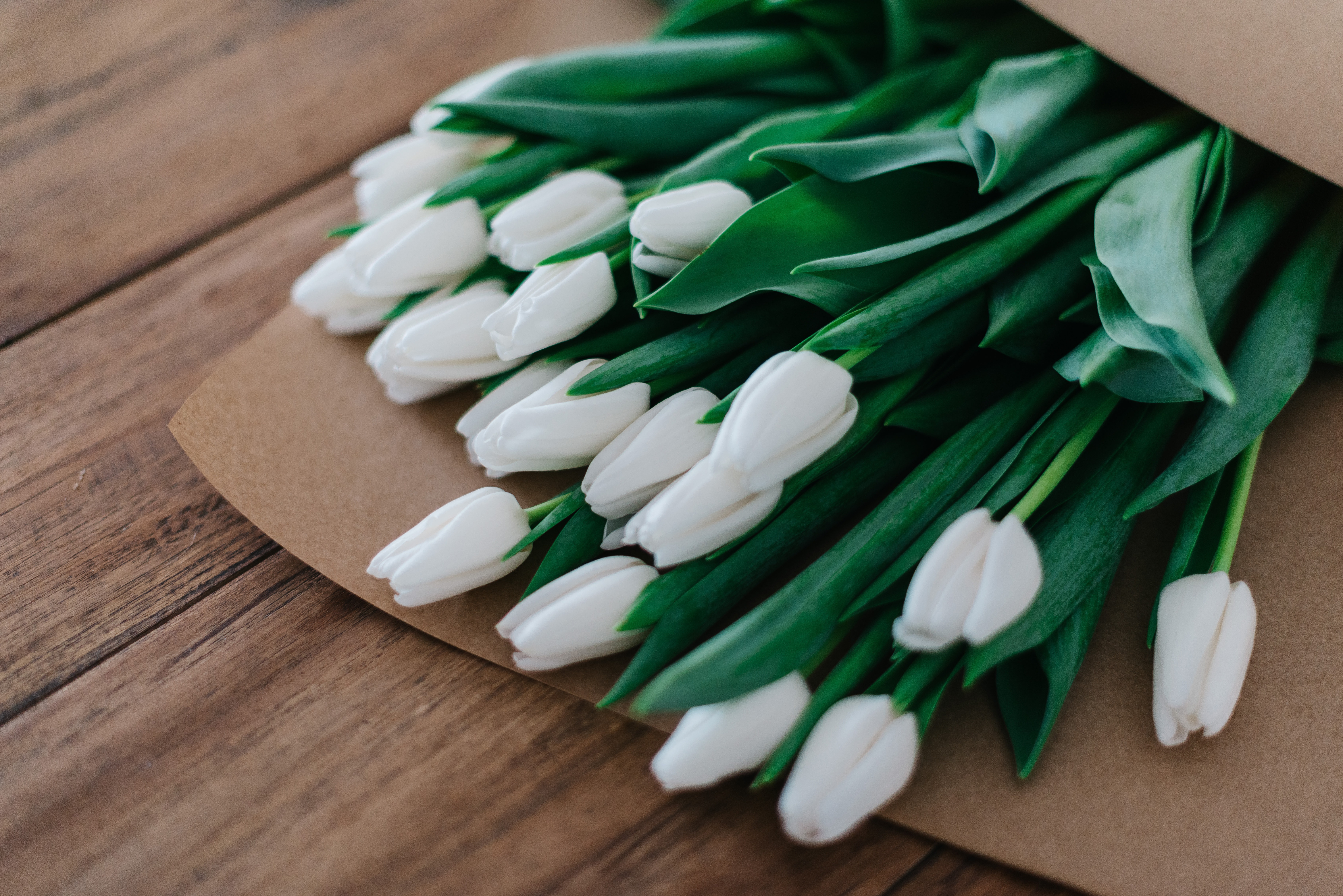 White Tulip Bouquet on Wooden Table HD Wallpaper