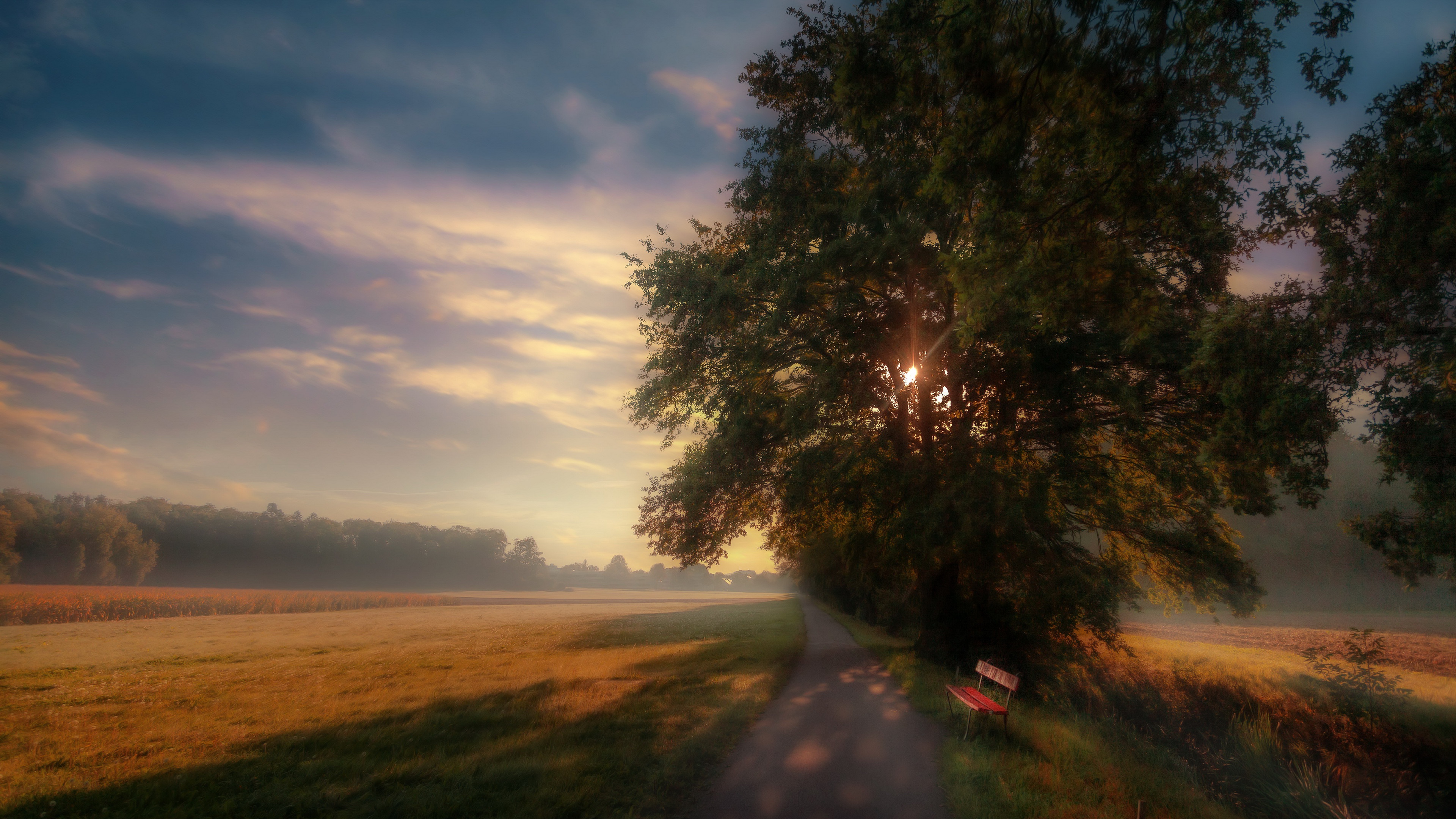 Bench Fog Morning Road HD Wallpaper