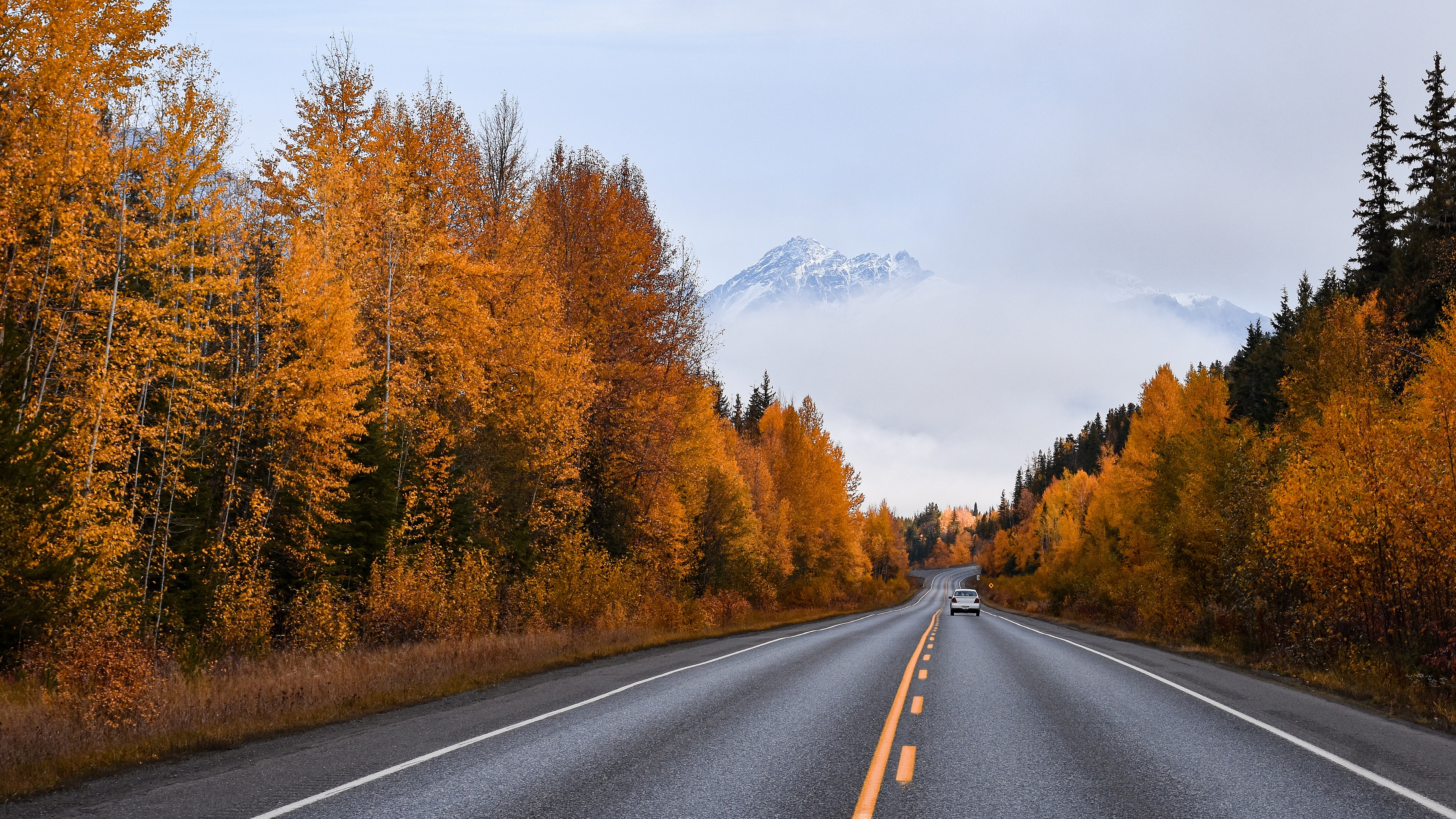 Car on a road through autumn forest with mountains HD Wallpaper