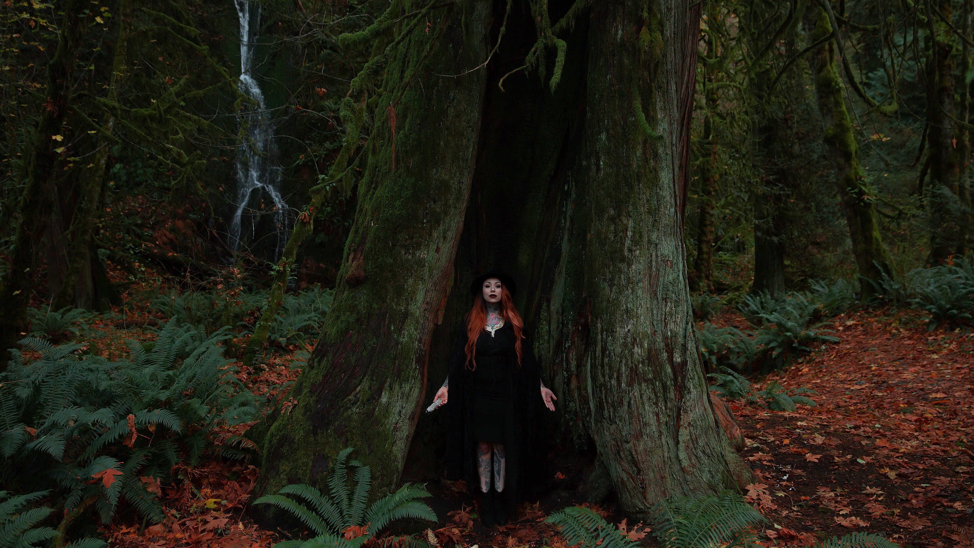 Redhead woman in black dress standing in a hollow tree trunk HD Wallpaper
