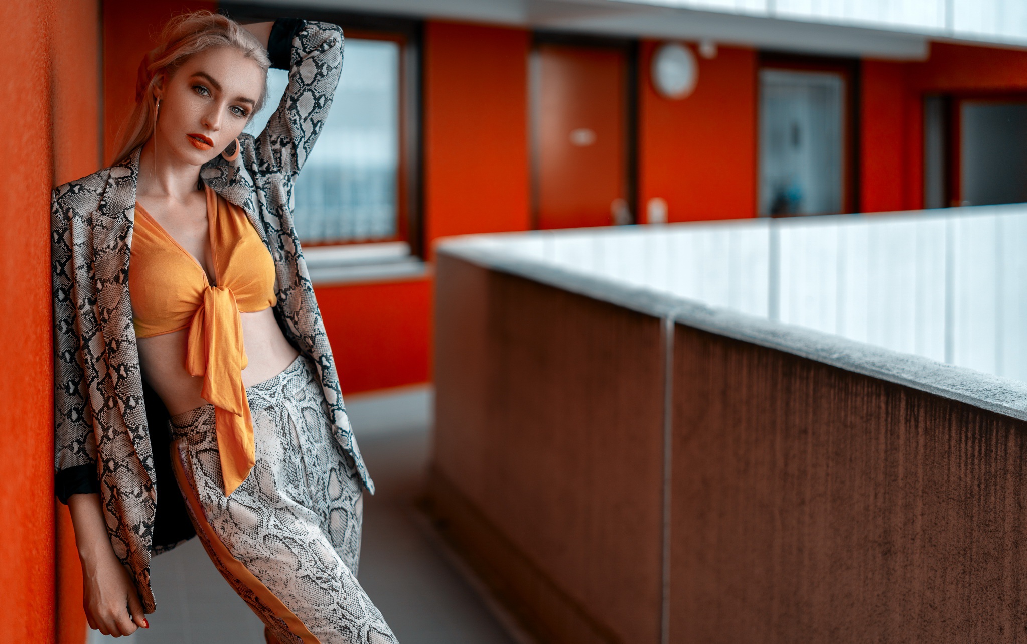 Blonde Woman in Snake Print Outfit Posing HD Wallpaper