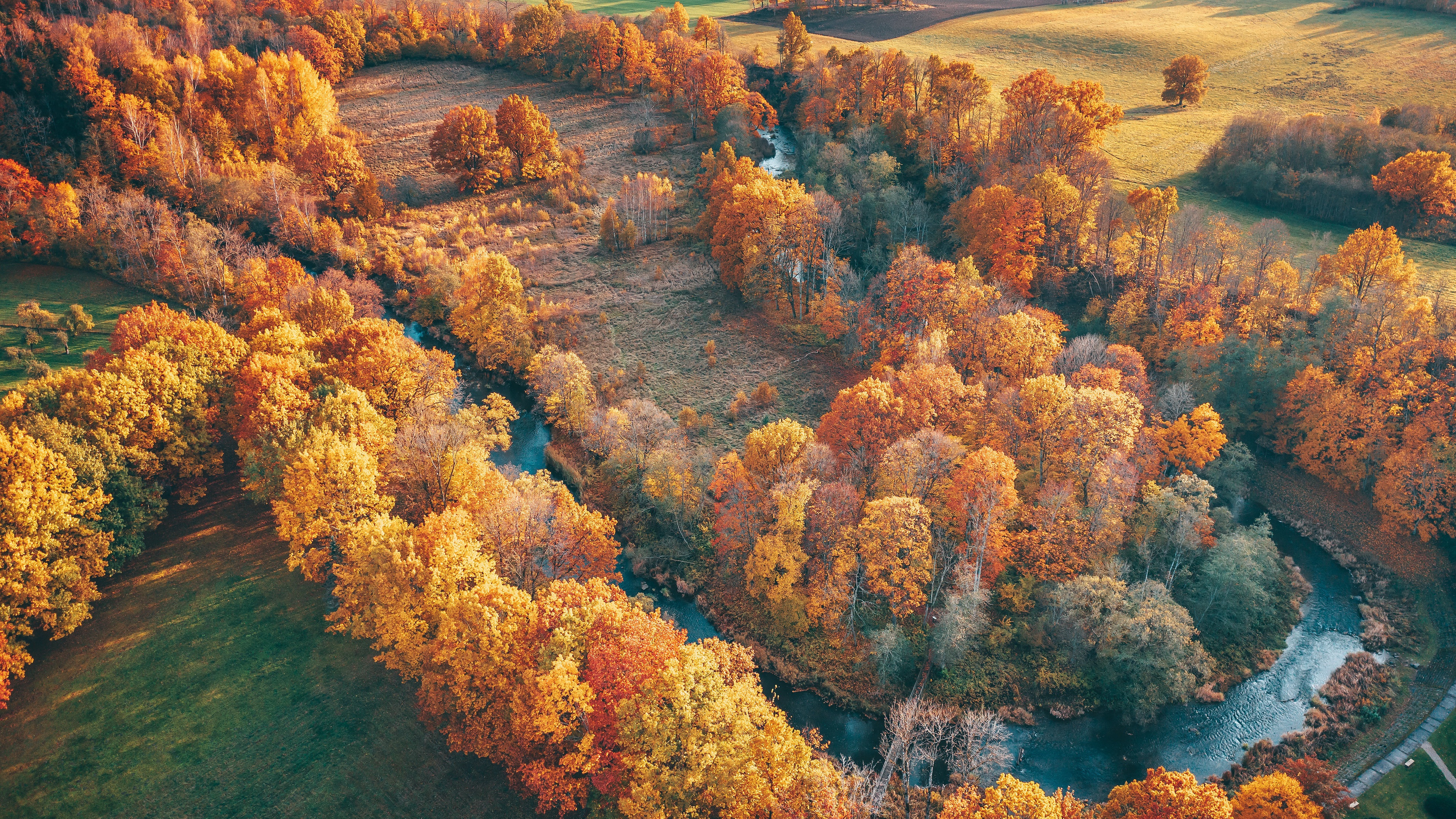 Aerial view of a river winding through autumn forest HD Wallpaper