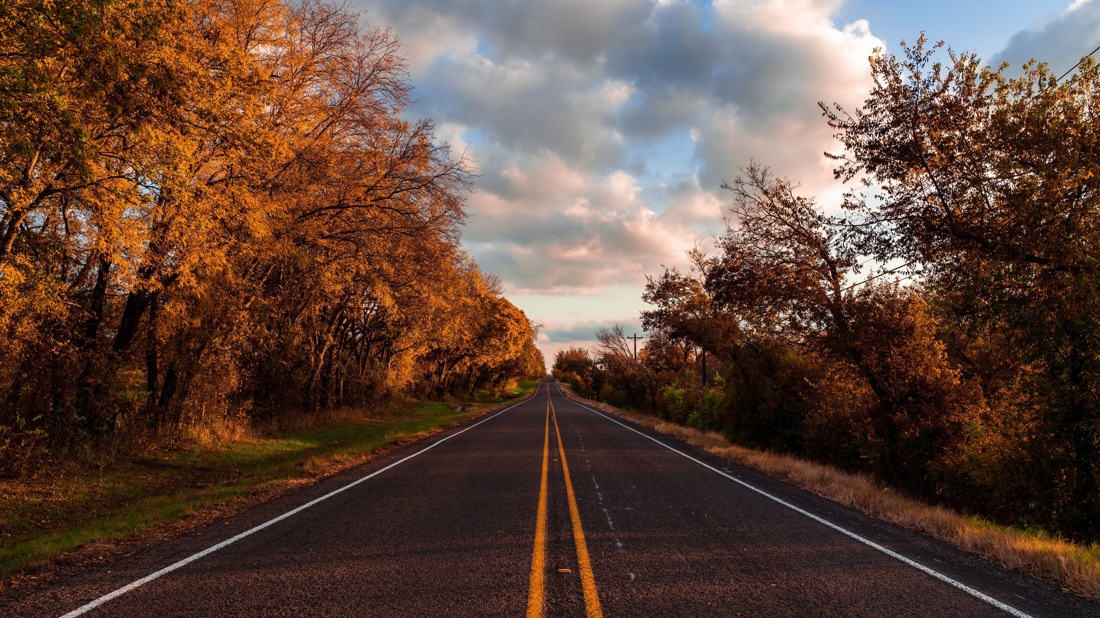 Road lined with autumn trees under cloudy sky HD Wallpaper