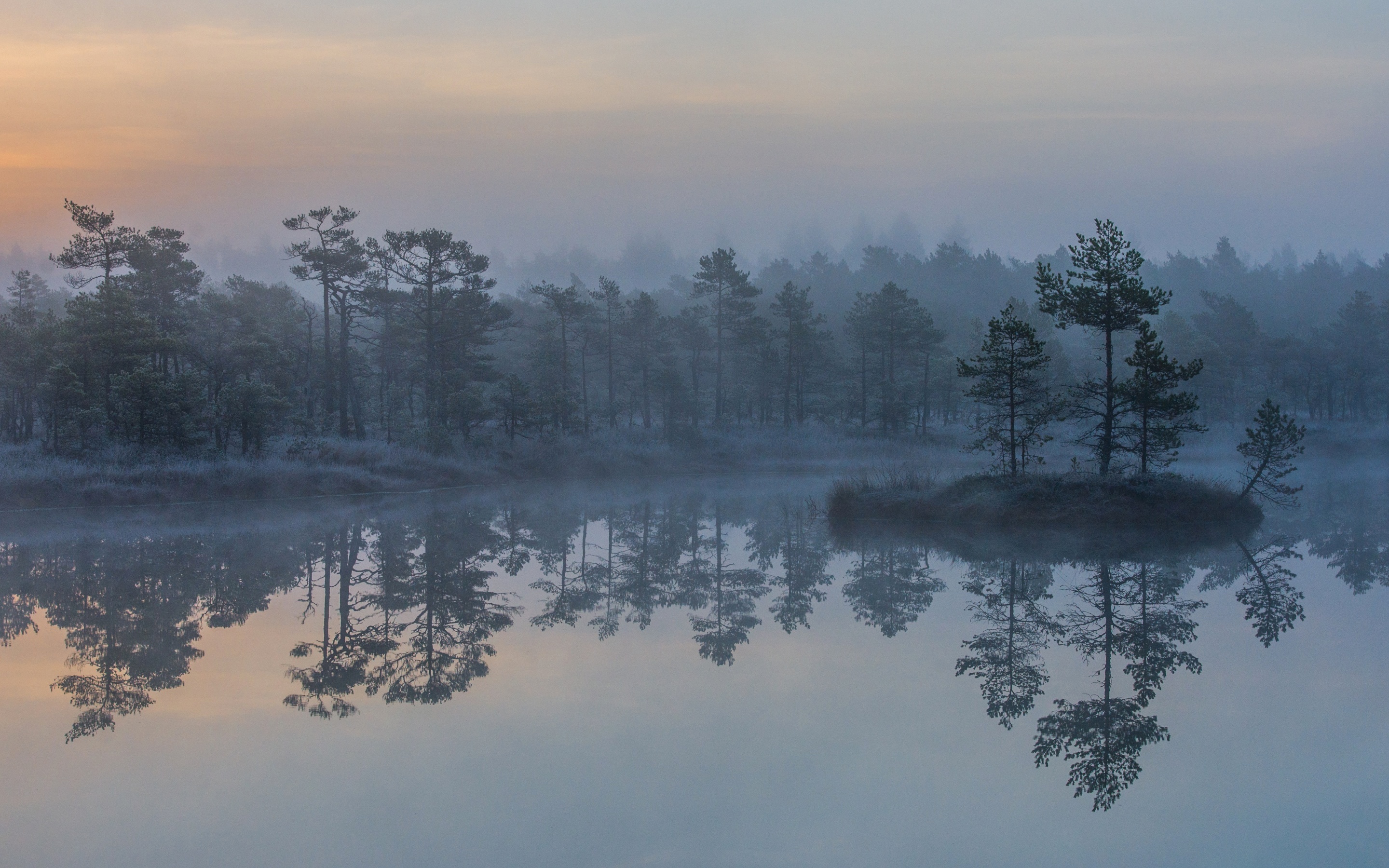 Misty lake with pine trees and reflections HD Wallpaper