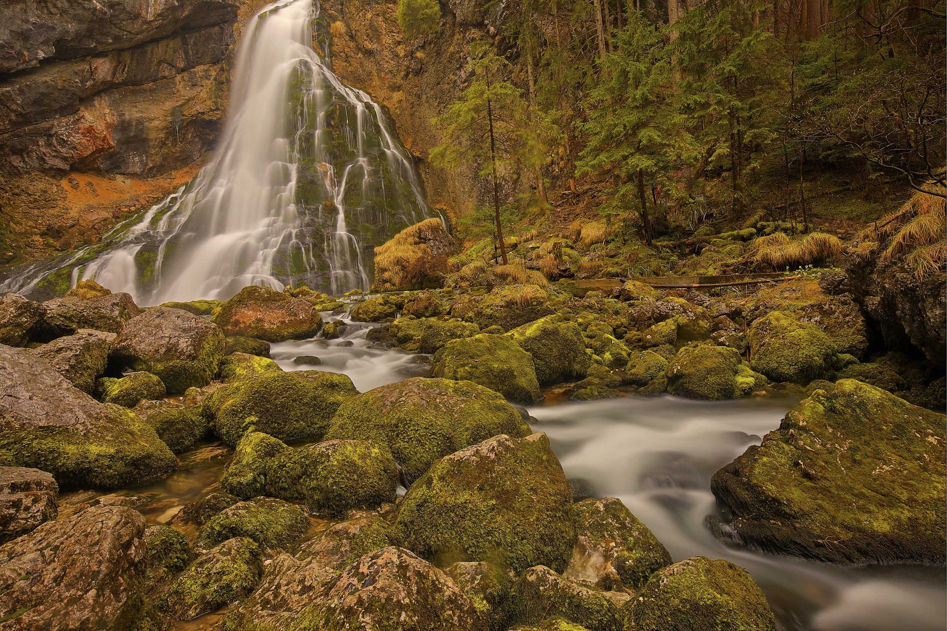 Waterfall cascading over mossy rocks in a forest HD Wallpaper