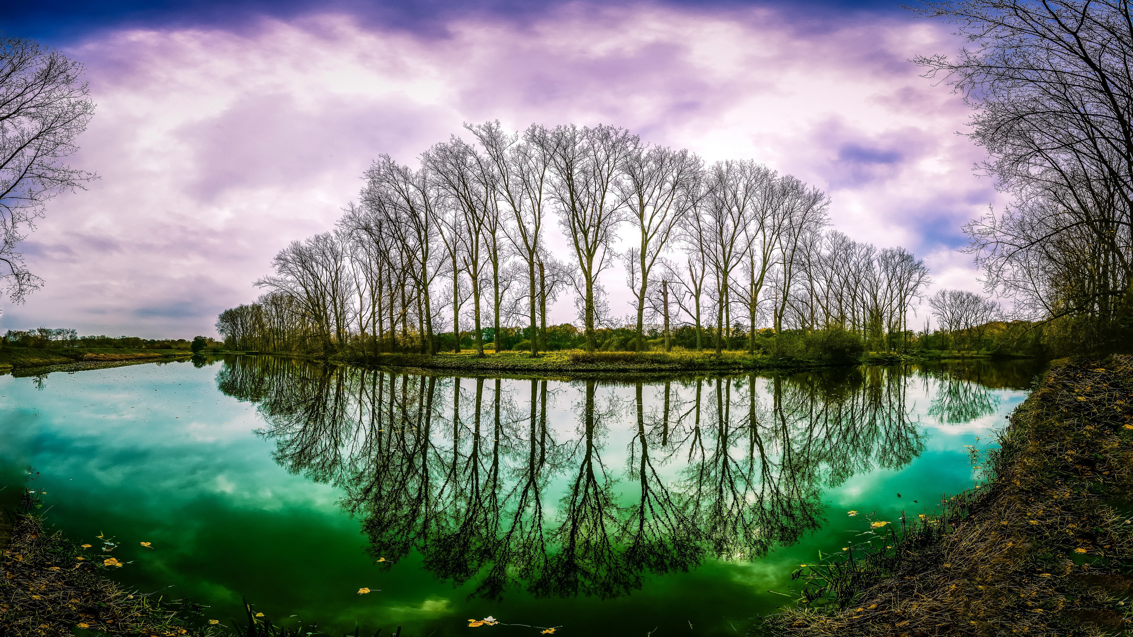 Bare Trees Reflecting in a Green River Under Purple Clouds HD Wallpaper