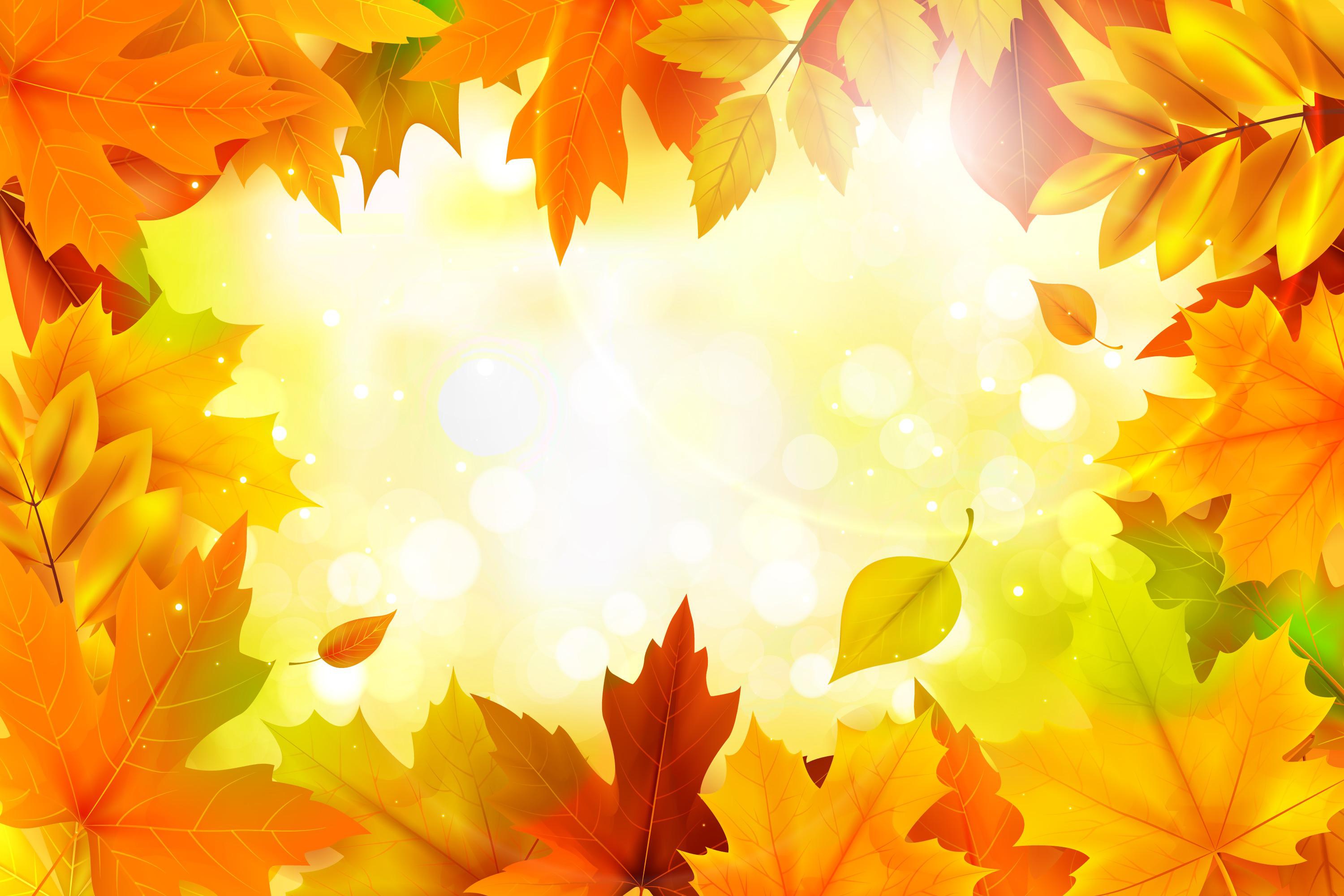 Autumn leaves frame a bright, sunny background HD Wallpaper