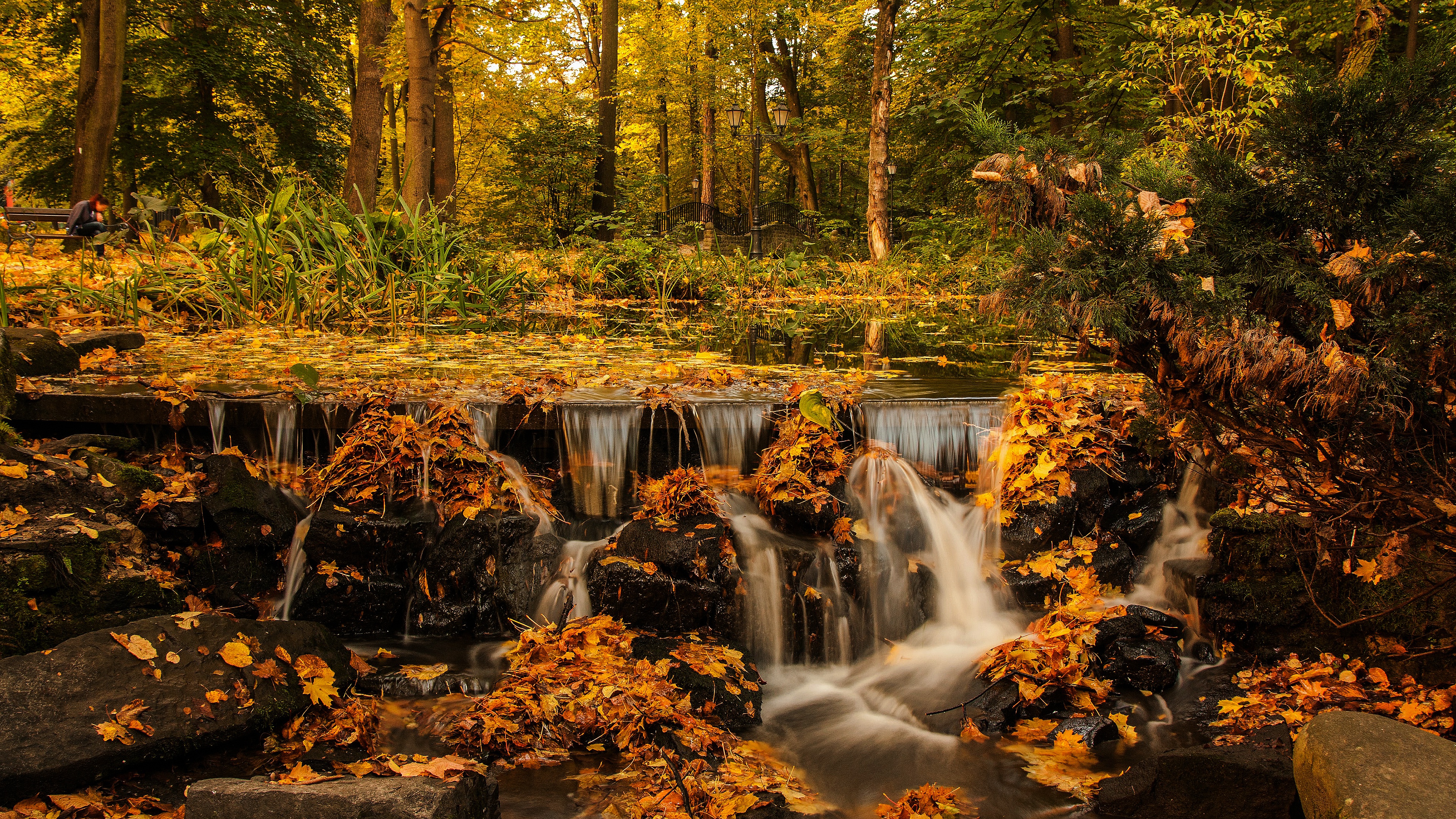 Waterfall in a Forest during Fall HD Wallpaper