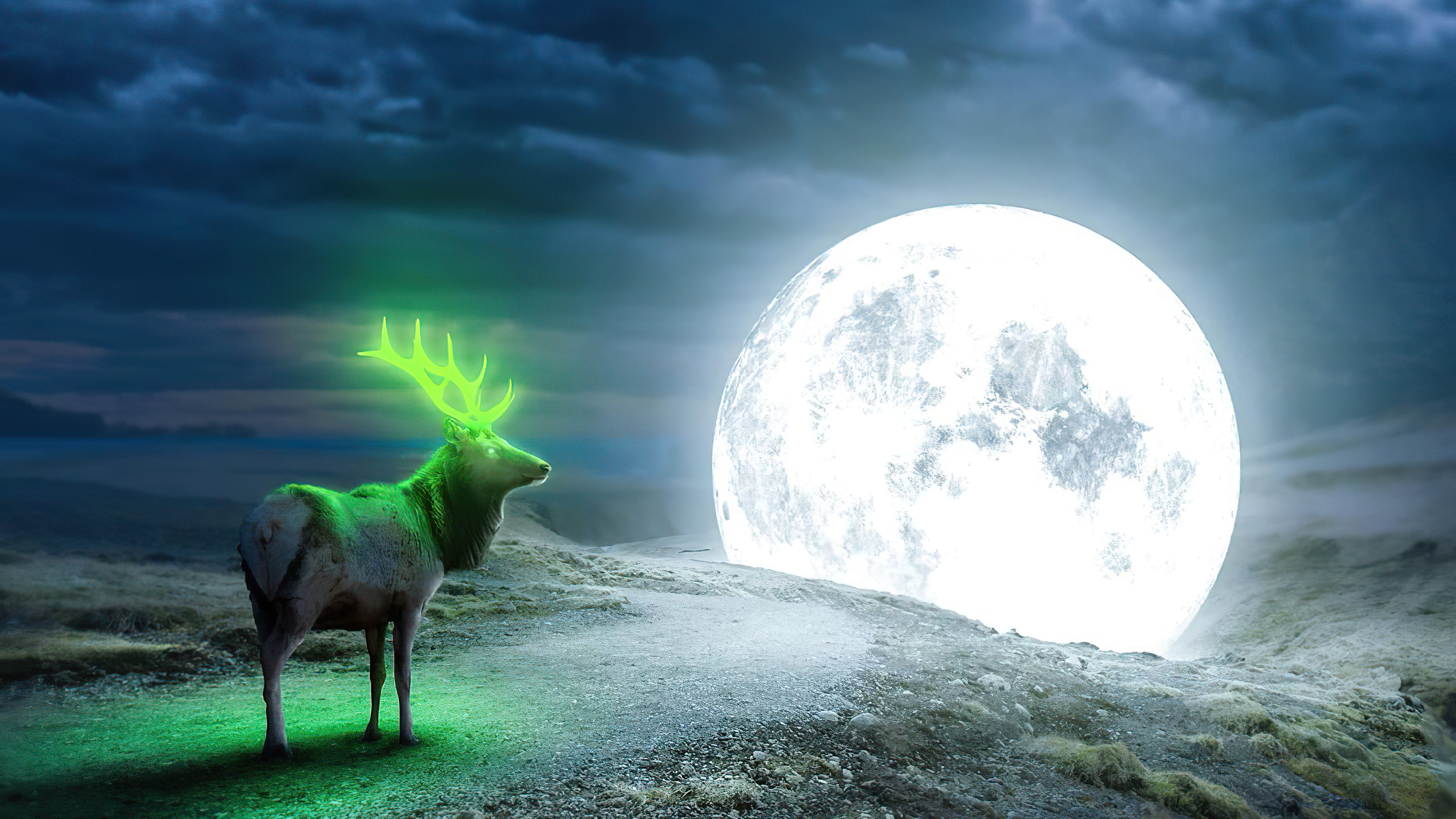Digital art of a glowing reindeer under the moon HD Wallpaper