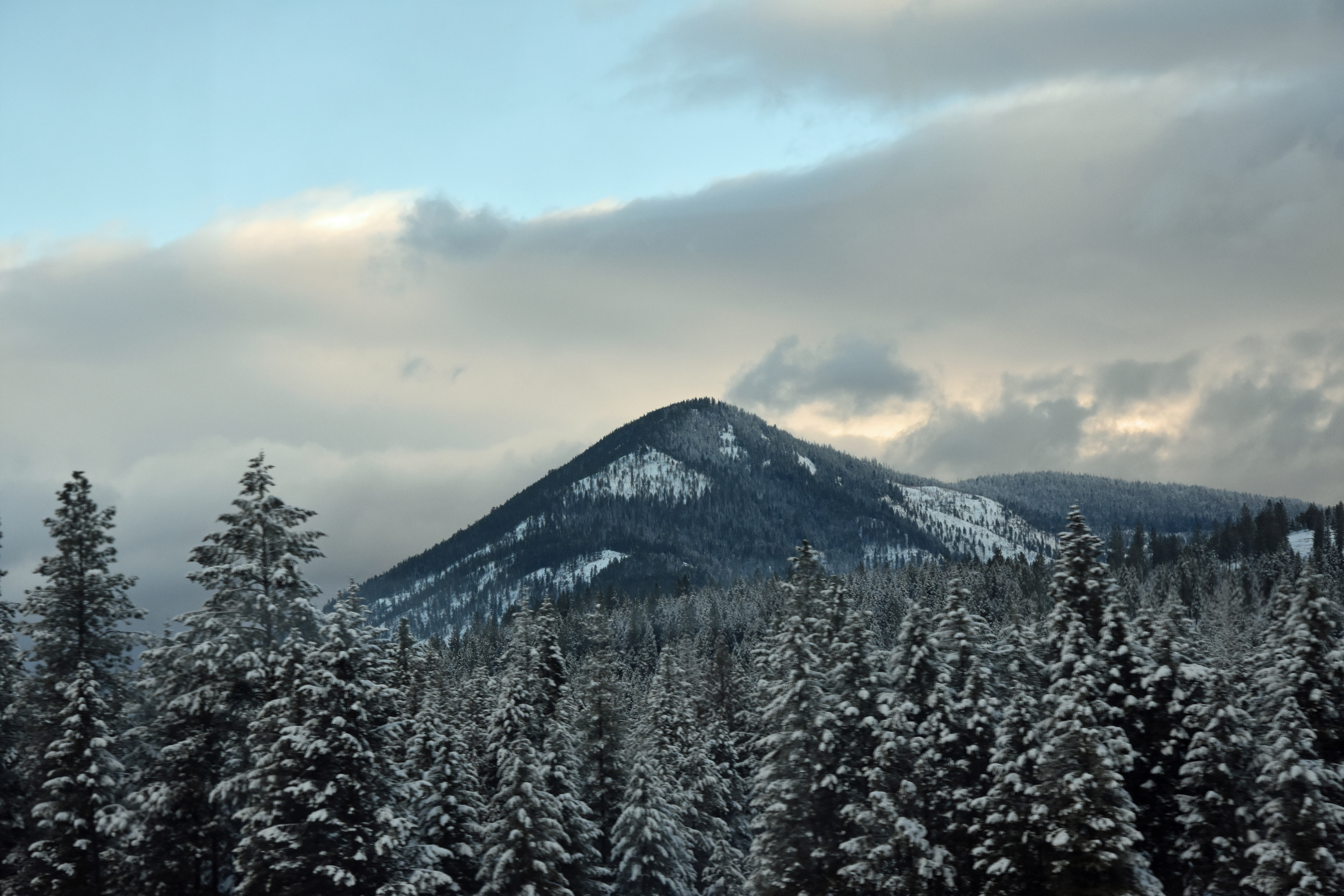 Snowy mountains and pine trees under cloudy sky HD Wallpaper